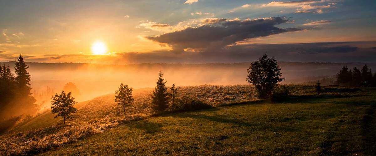 Foundation Visionaries: Lon Magness