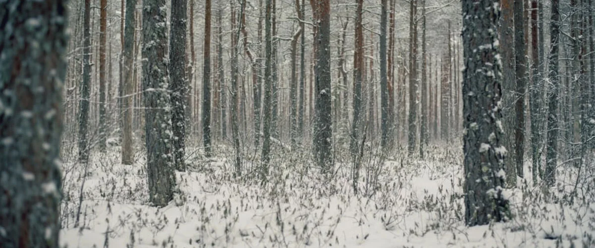 Now Thank We All Our God