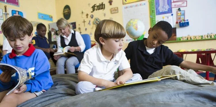 Foundation Newsletter, August 2017