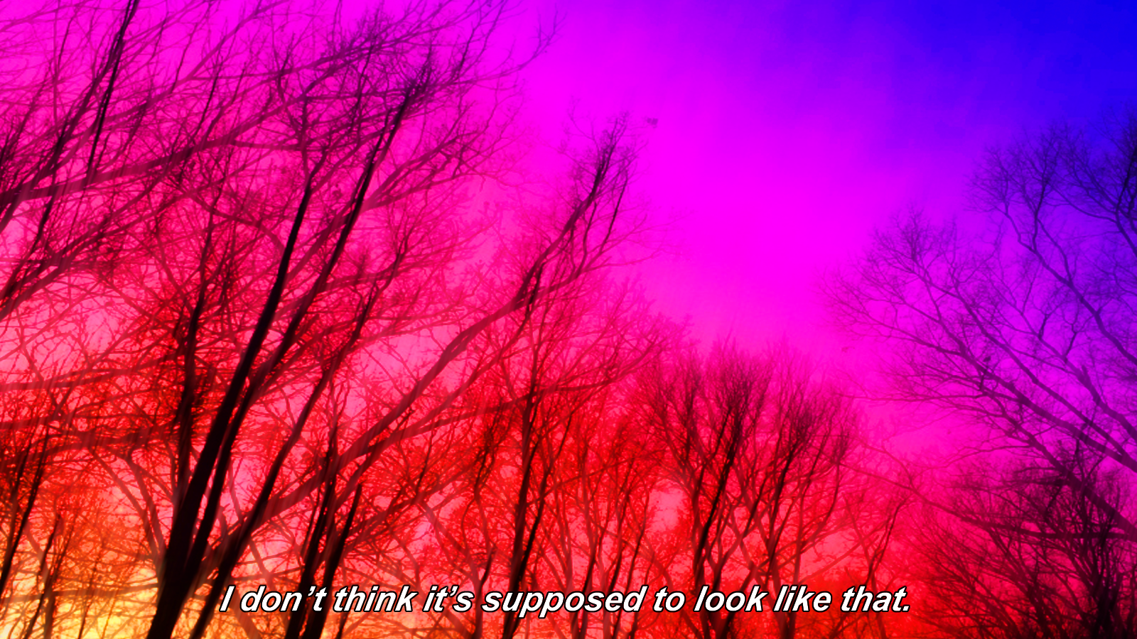 fakescreencap2.png
