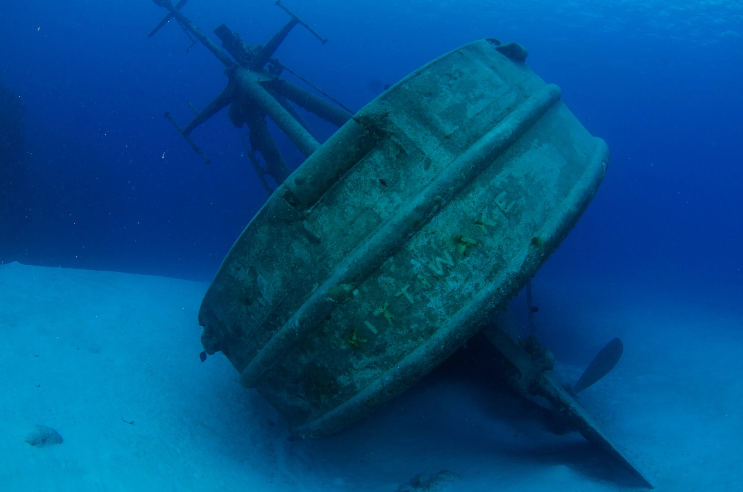 DSC_1124.jpg