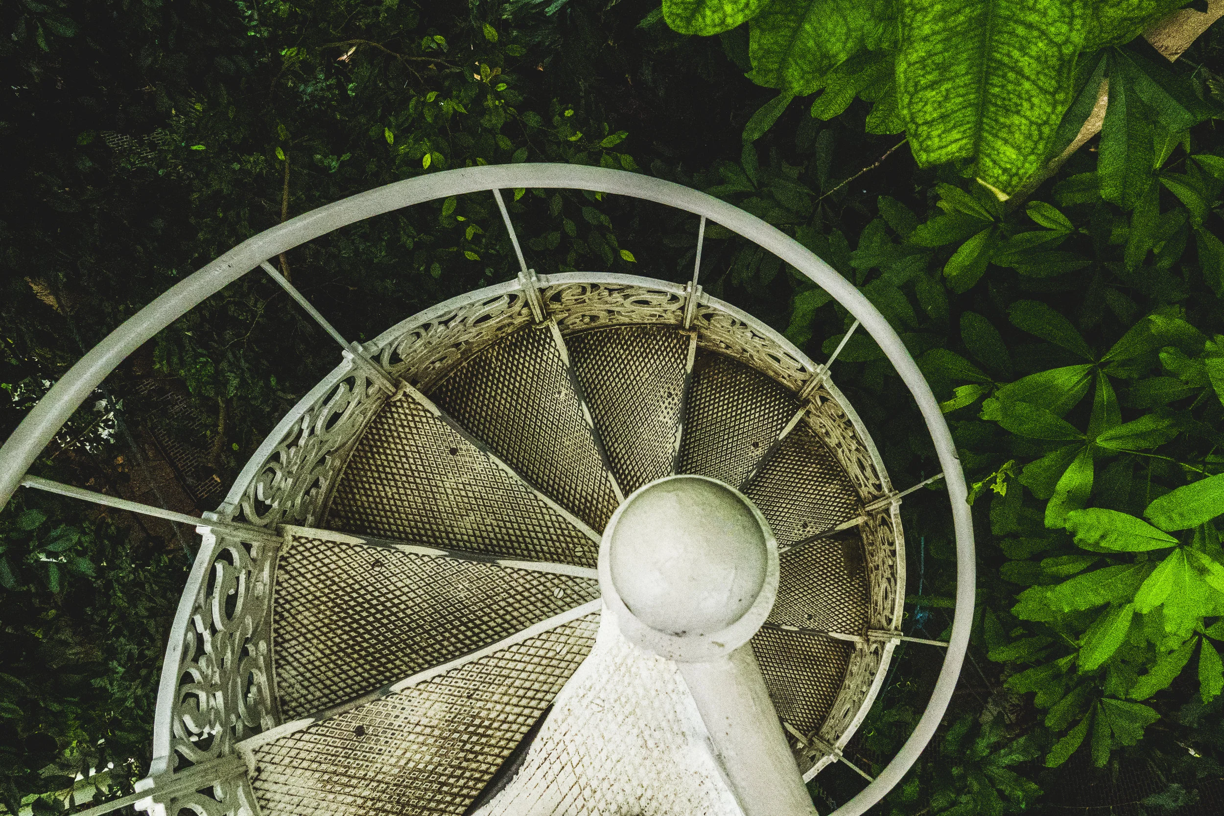 Steps for the COVID-19 Journey