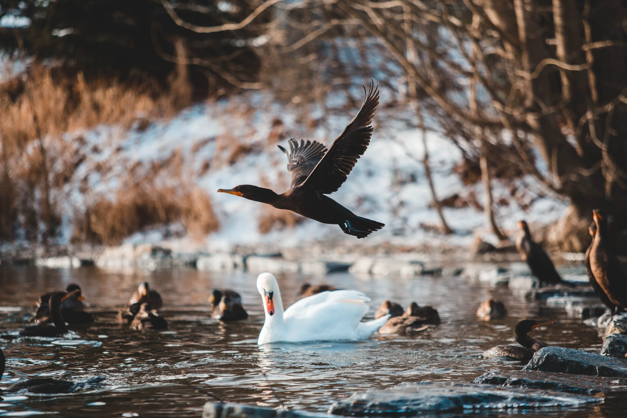 Group Dynamics and Trust