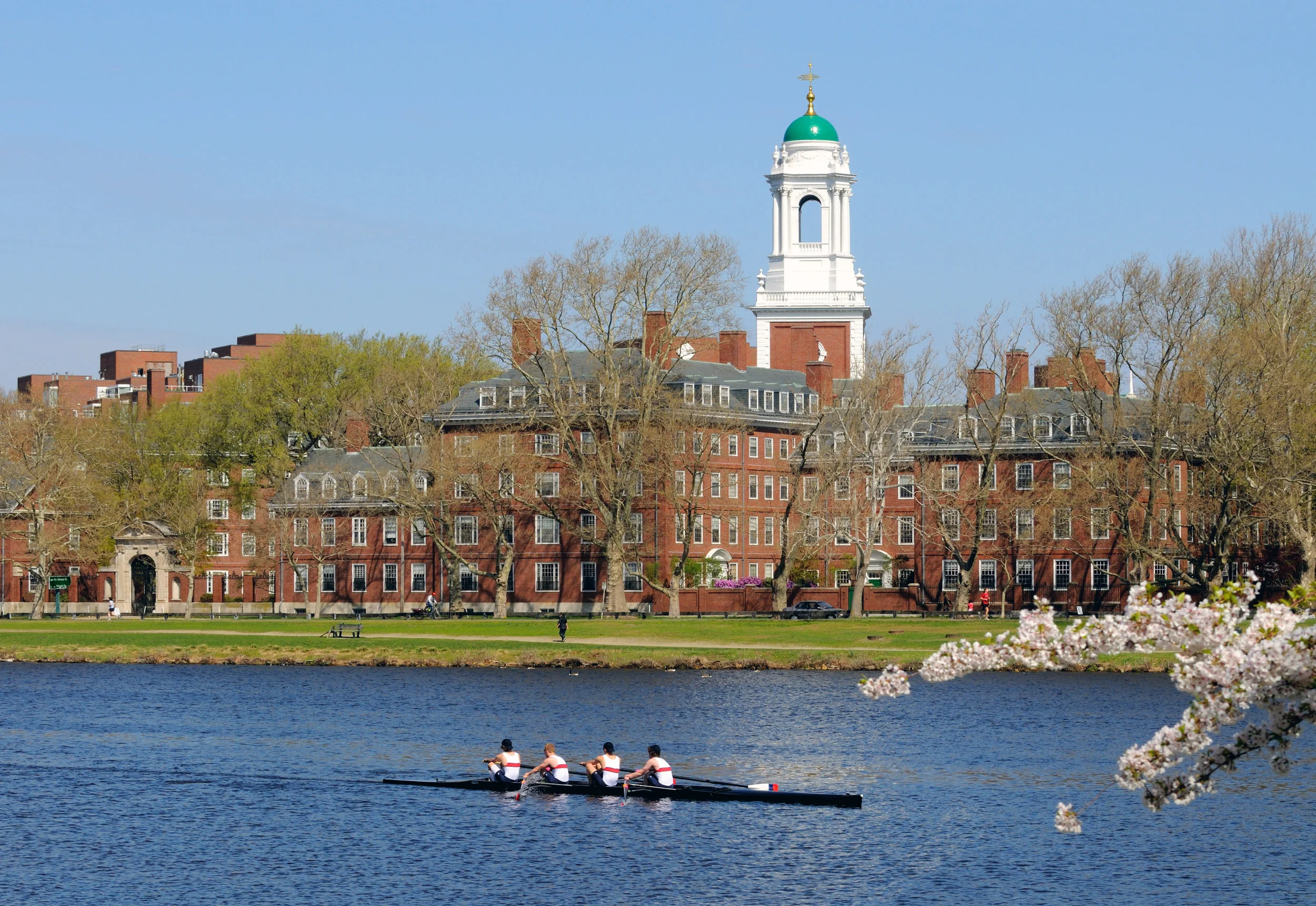 Harvard Lifestyle.jpeg