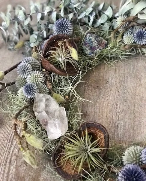 Crystal, Blue Thistle, Moss, Small Airplants