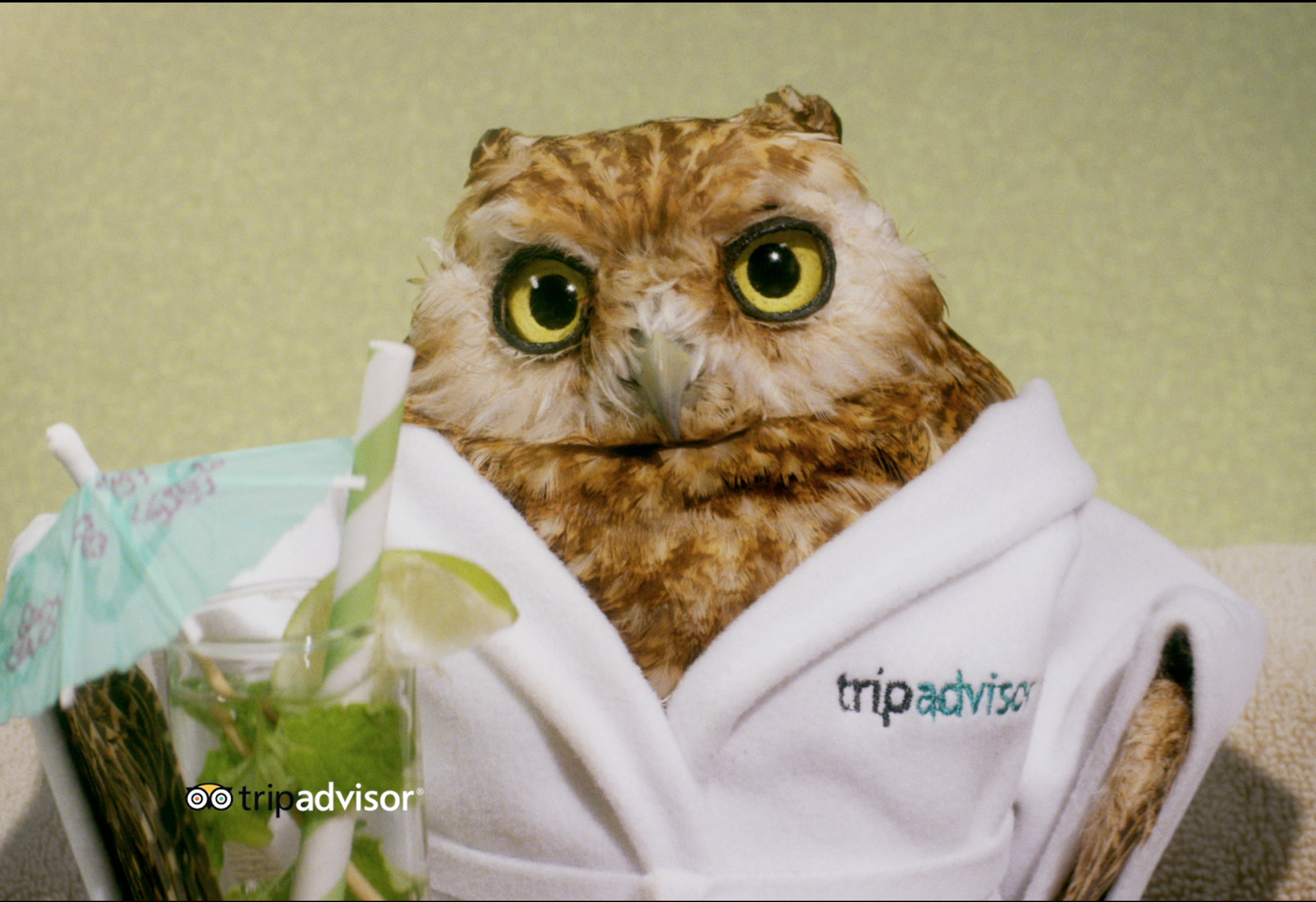 Screen Shot 2018-02-26 at 12.34.27 PM.png