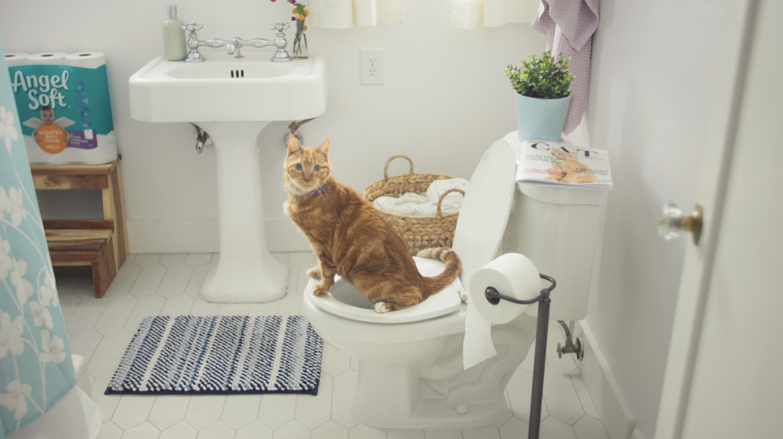 Screen Shot 2020-07-16 at 2.51. PM.png