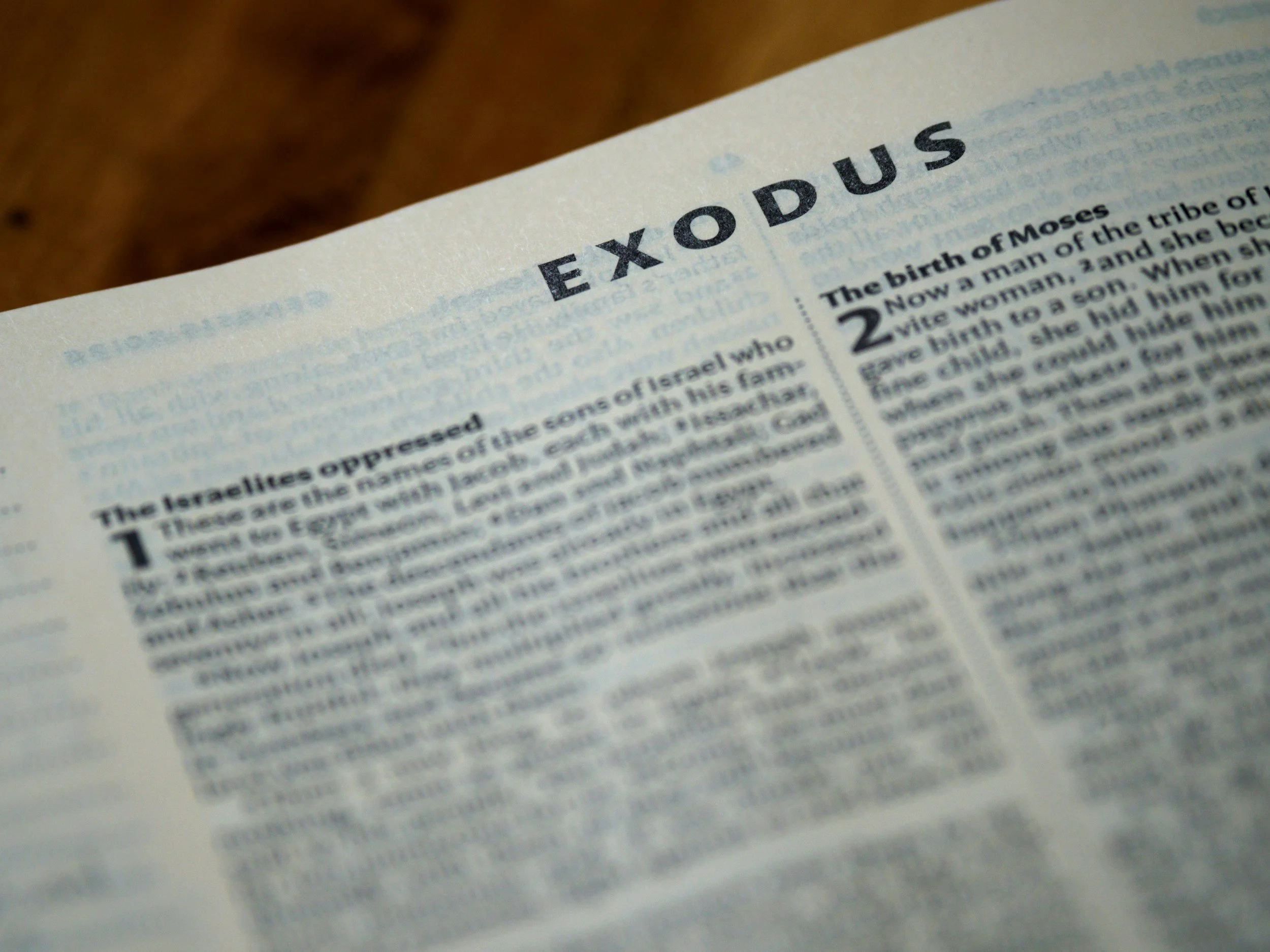 Exodus 21 - Christ the Beloved Servant/Son