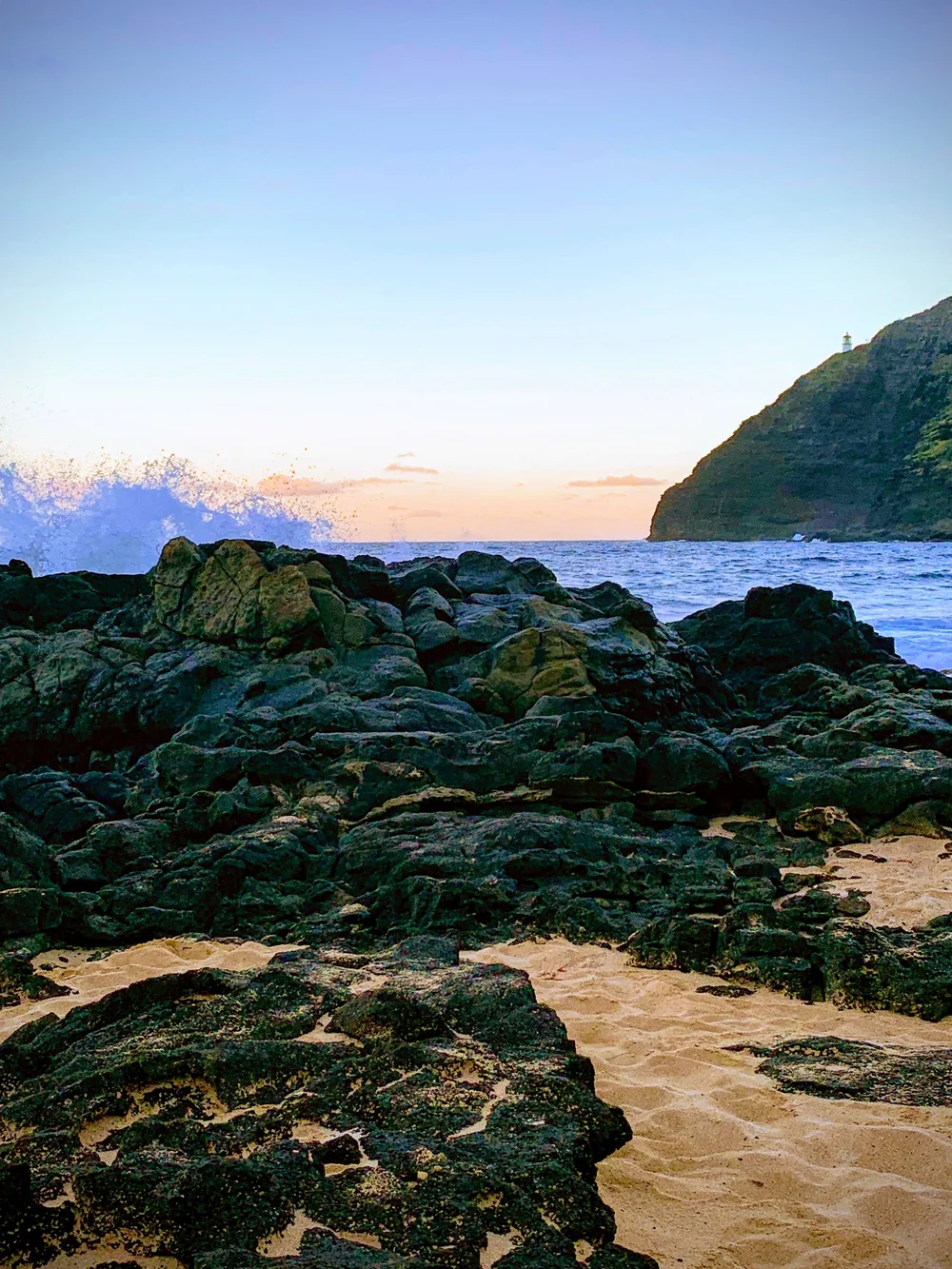 日本語 Yabai Hawaii Adventure Yabaihawaii Adventure Tours