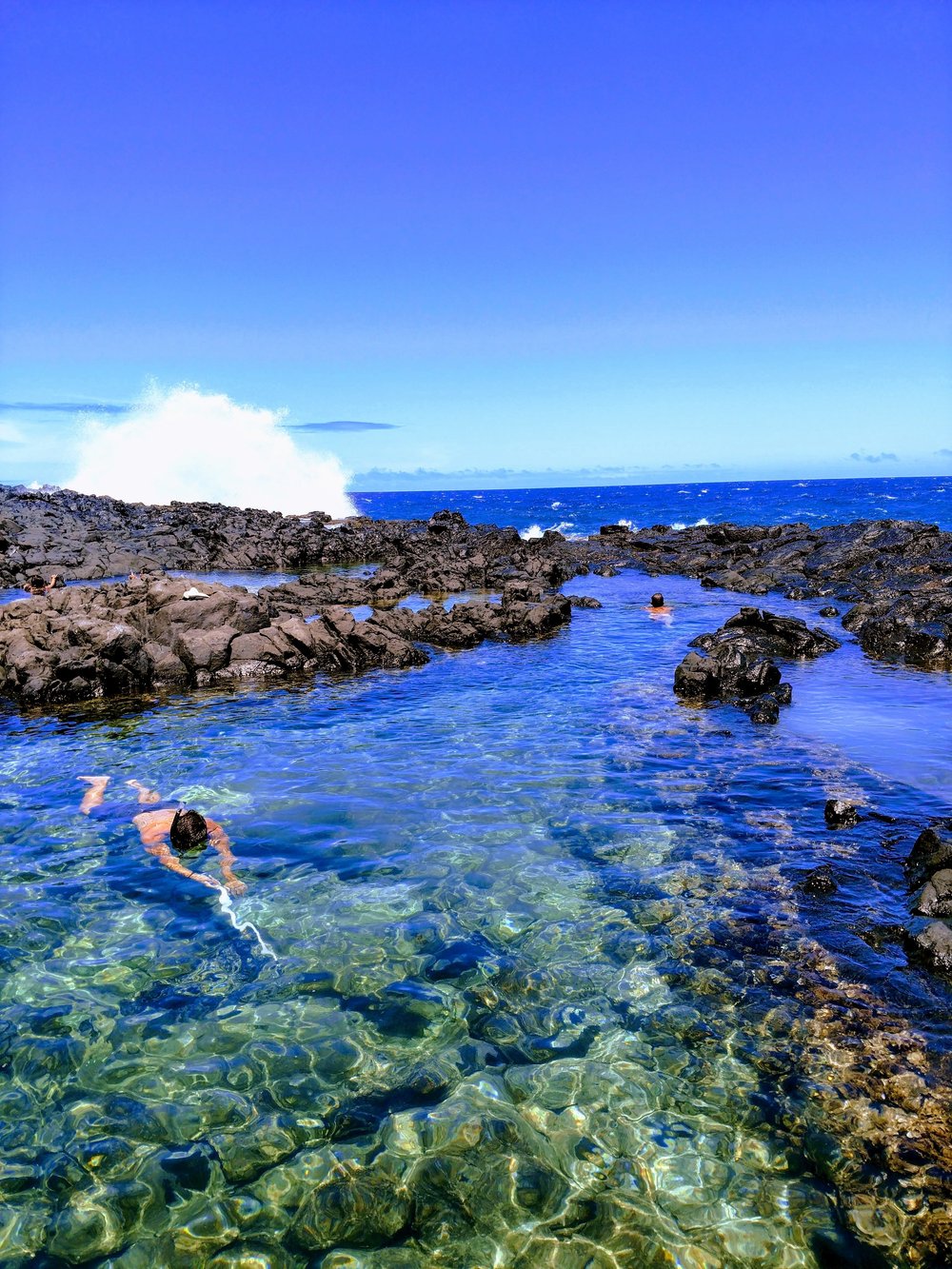日本語 Yabai Hawaii Adventure Yabaihawaii Adventure Tours