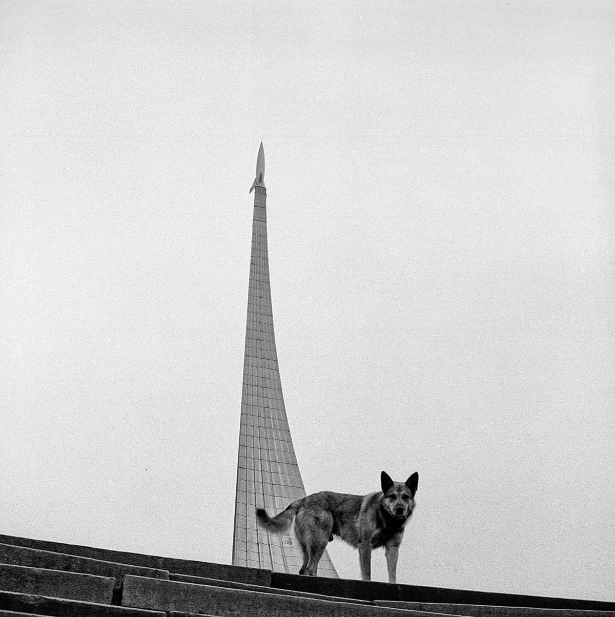 Samuel Wooten_Pavlov's Dog_Moscow_Museum of Space Exploration.jpg