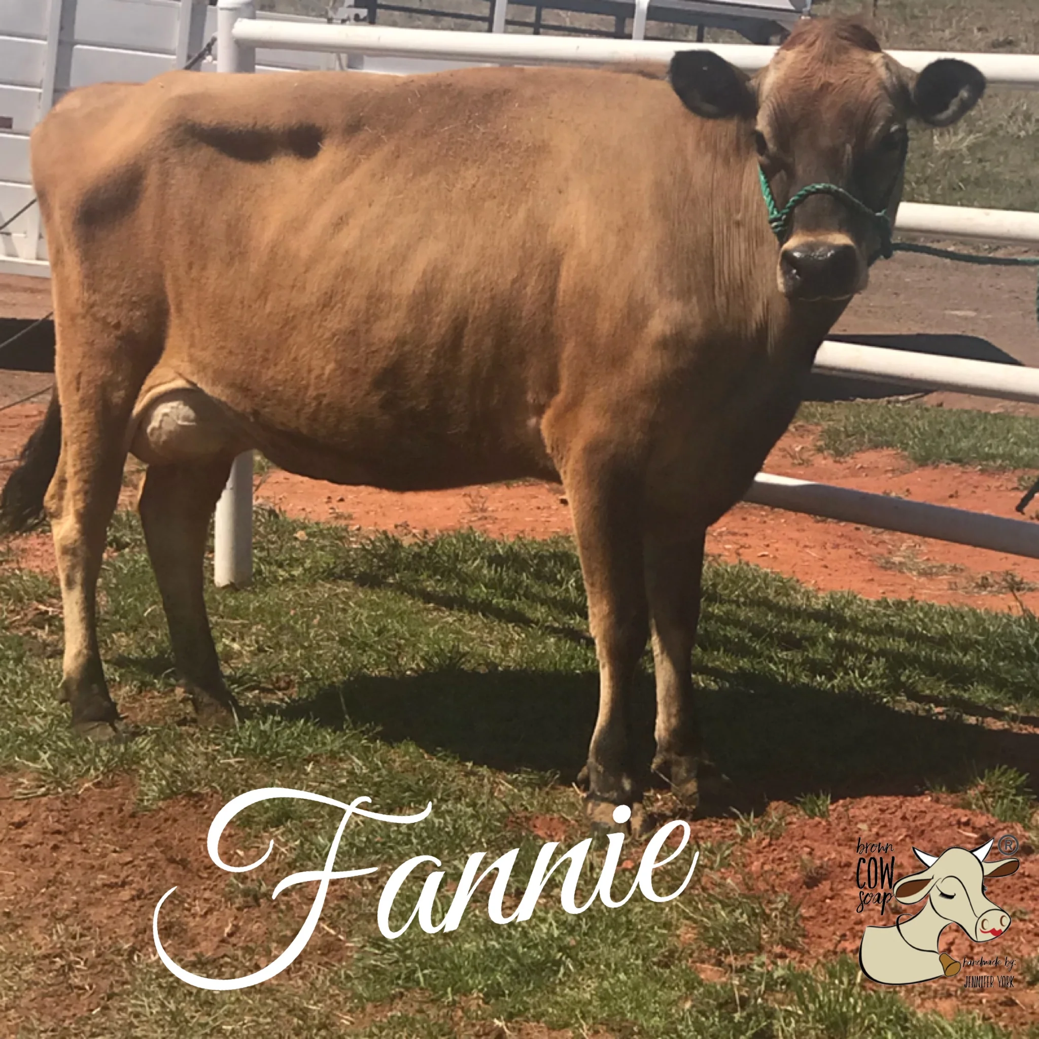 Fannie