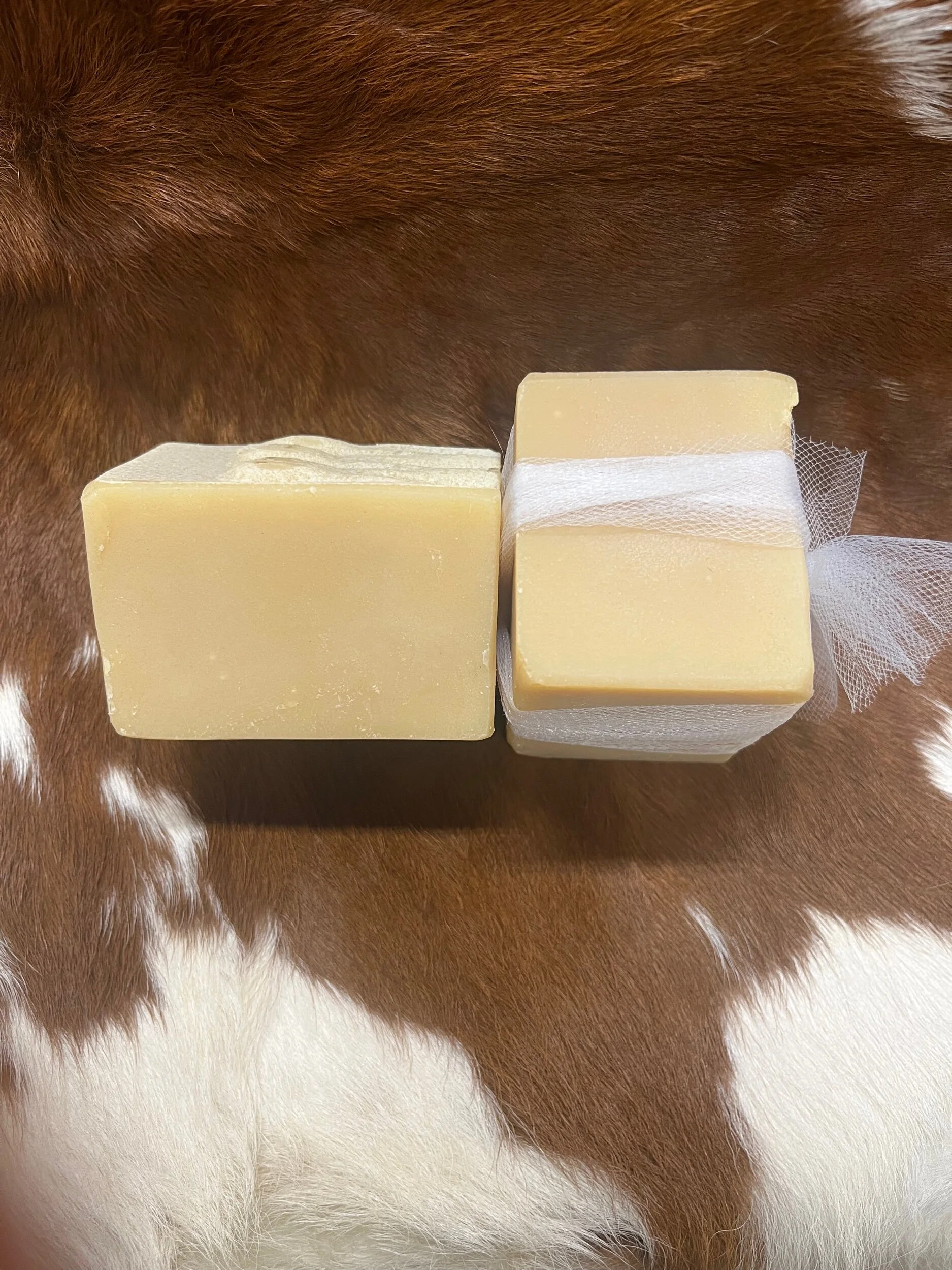 E83BDF12-B1E1-420C-A9F0-EAF0C17195E3