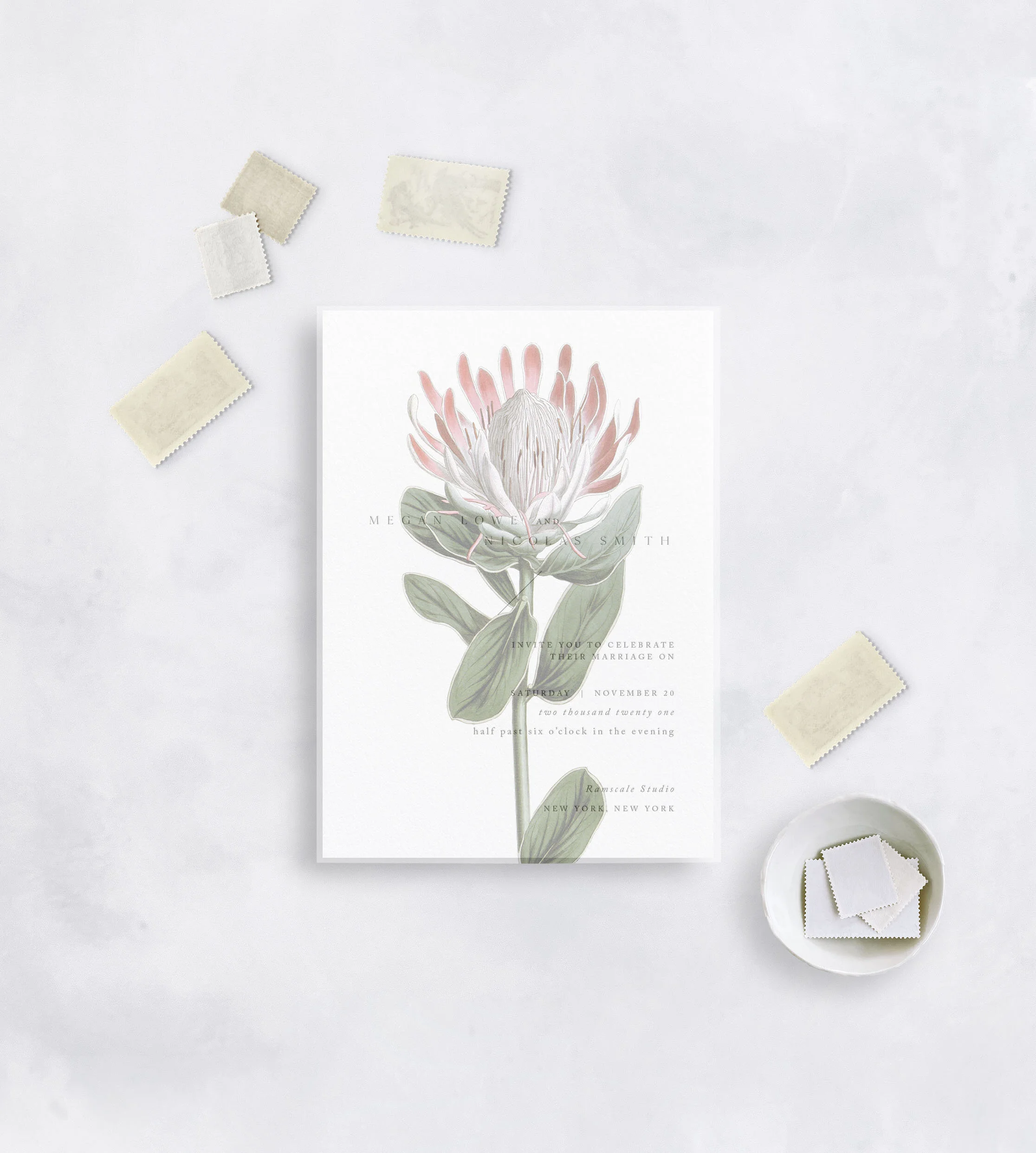 VELLUM OVERLAY