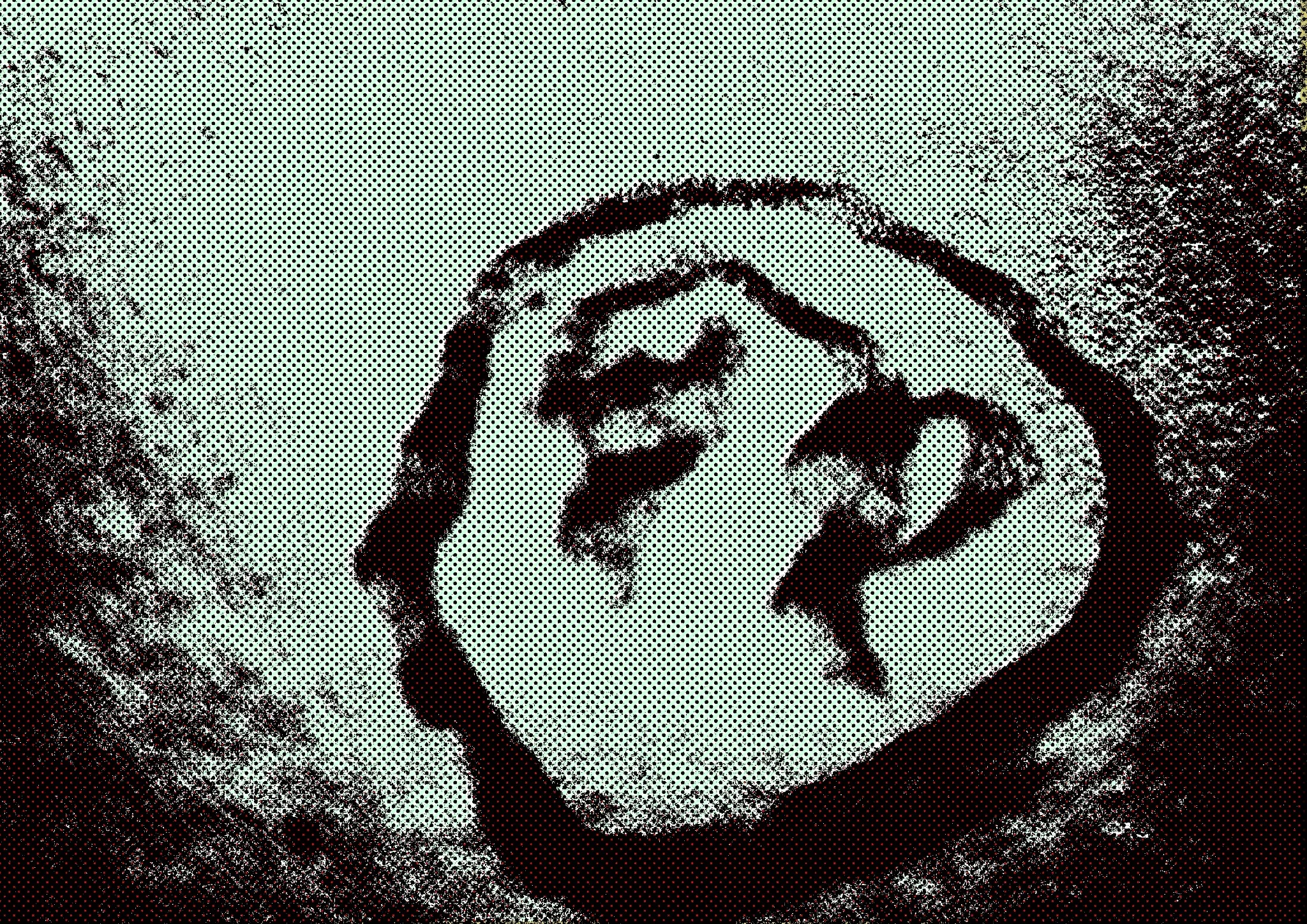 fyfti_003.jpg