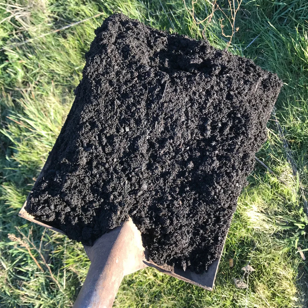 GREEN ROOF & BIOSWALE — Dirt Hugger