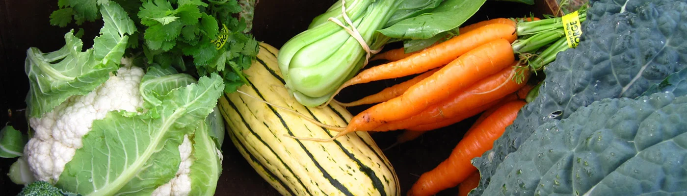 saur-Farming-market-header-4.jpg