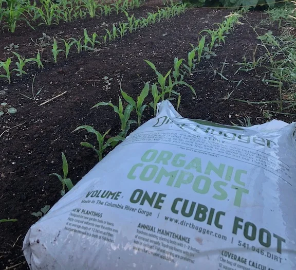 Sunshine, Soil, and Solid Gardening Tips