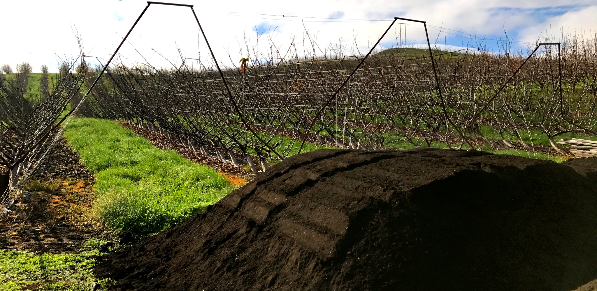 orchard_compost.jpg