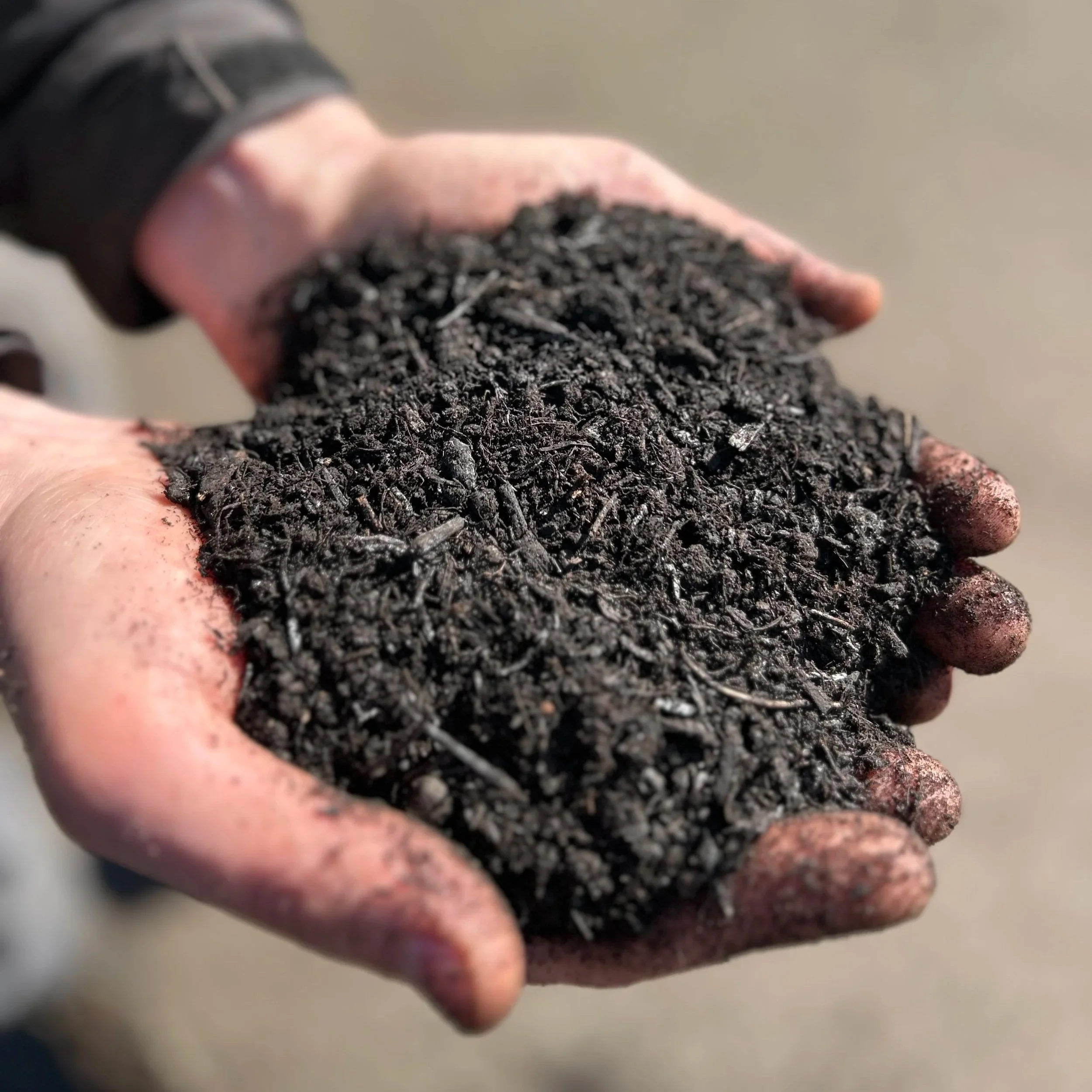 Hands holding a pile of dirt hugger compost