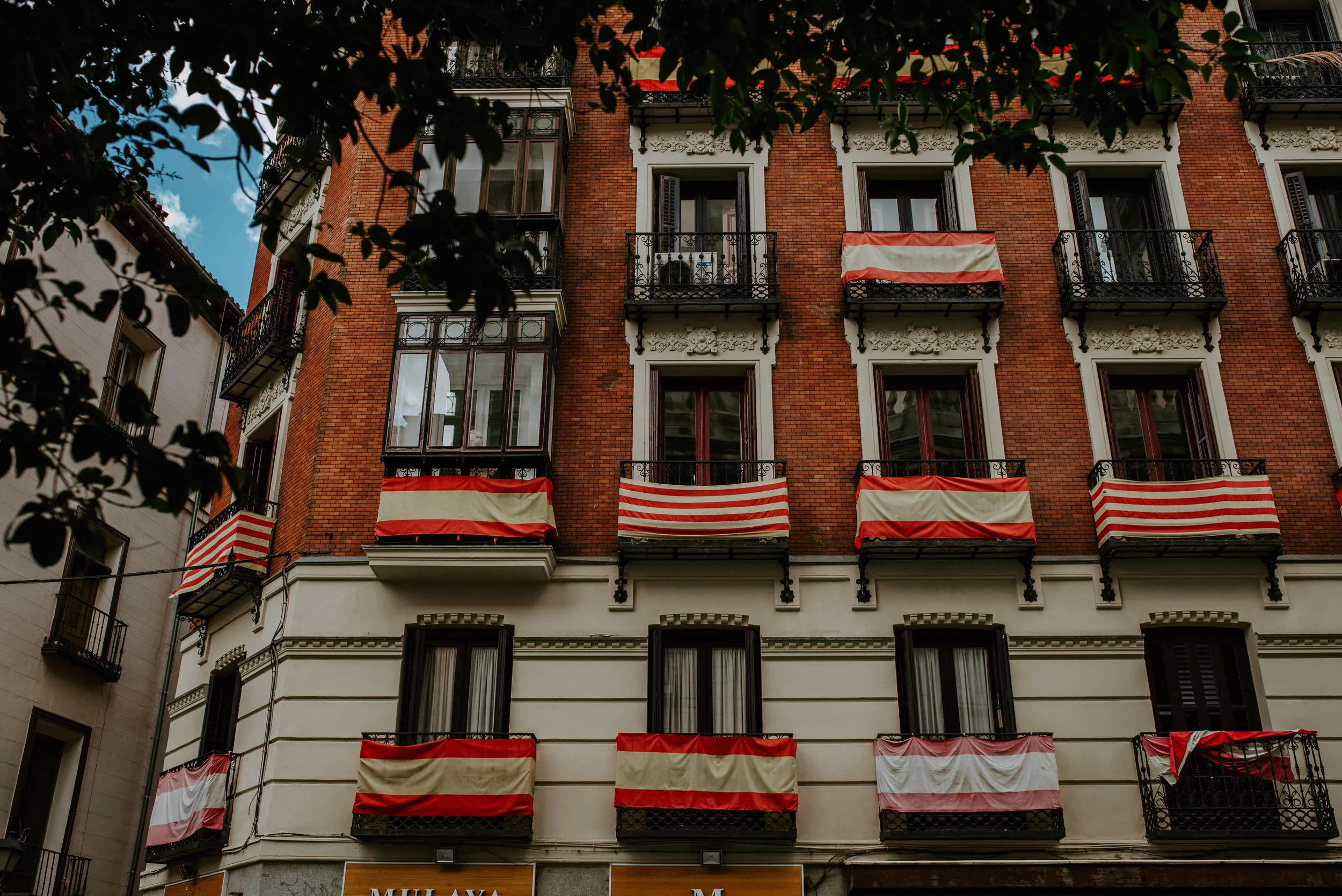 Roadtowild_loveMadrid-2.jpg