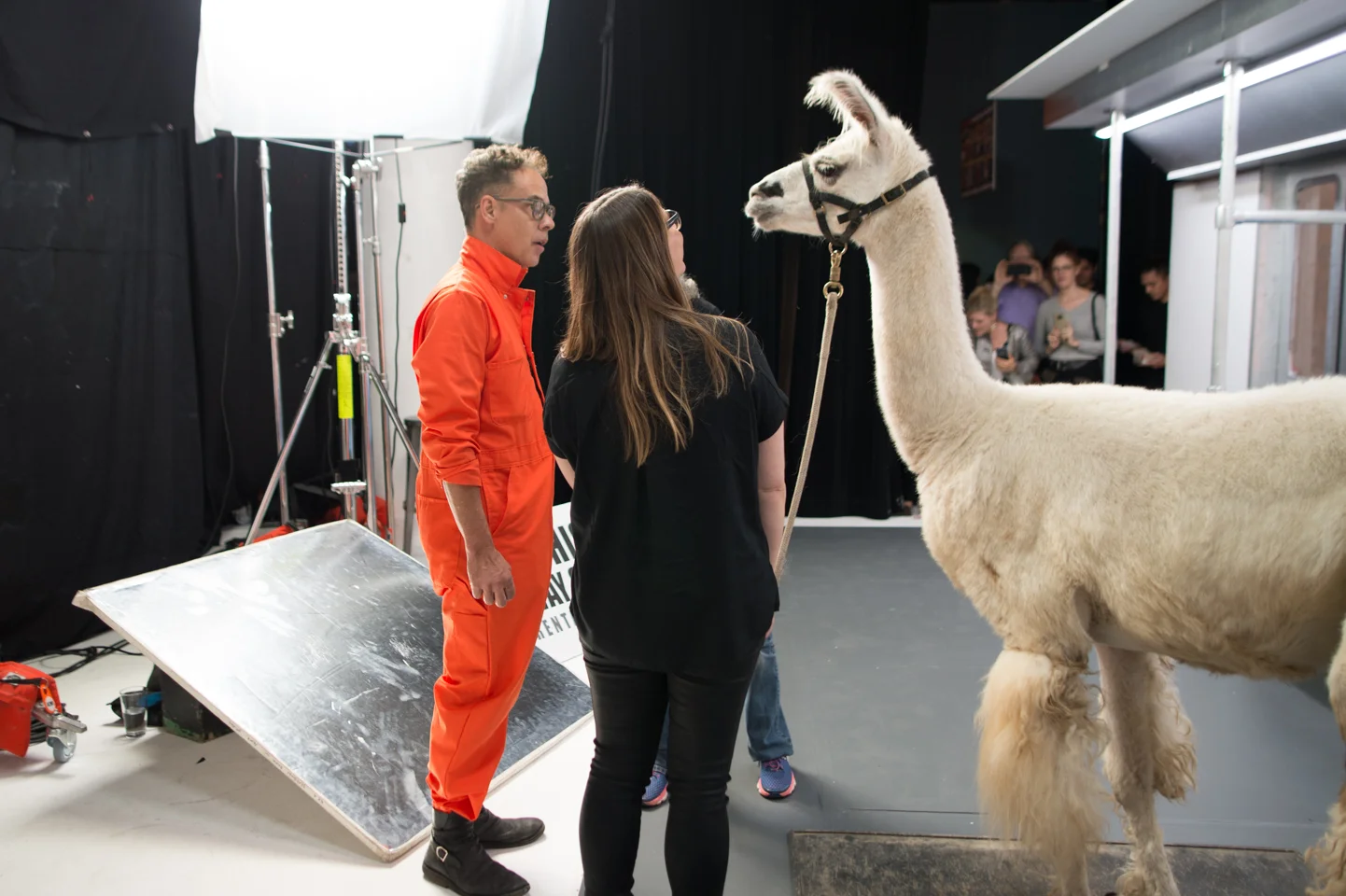 ACME Llama Party 2017
