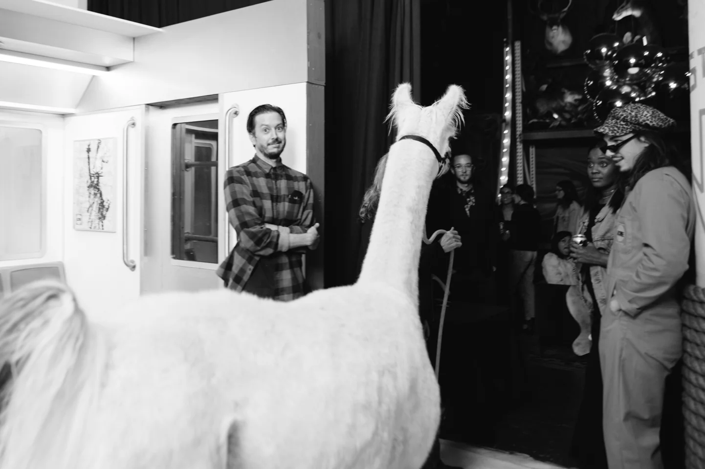 20171012-acme-studio-llama-party-1148.jpg