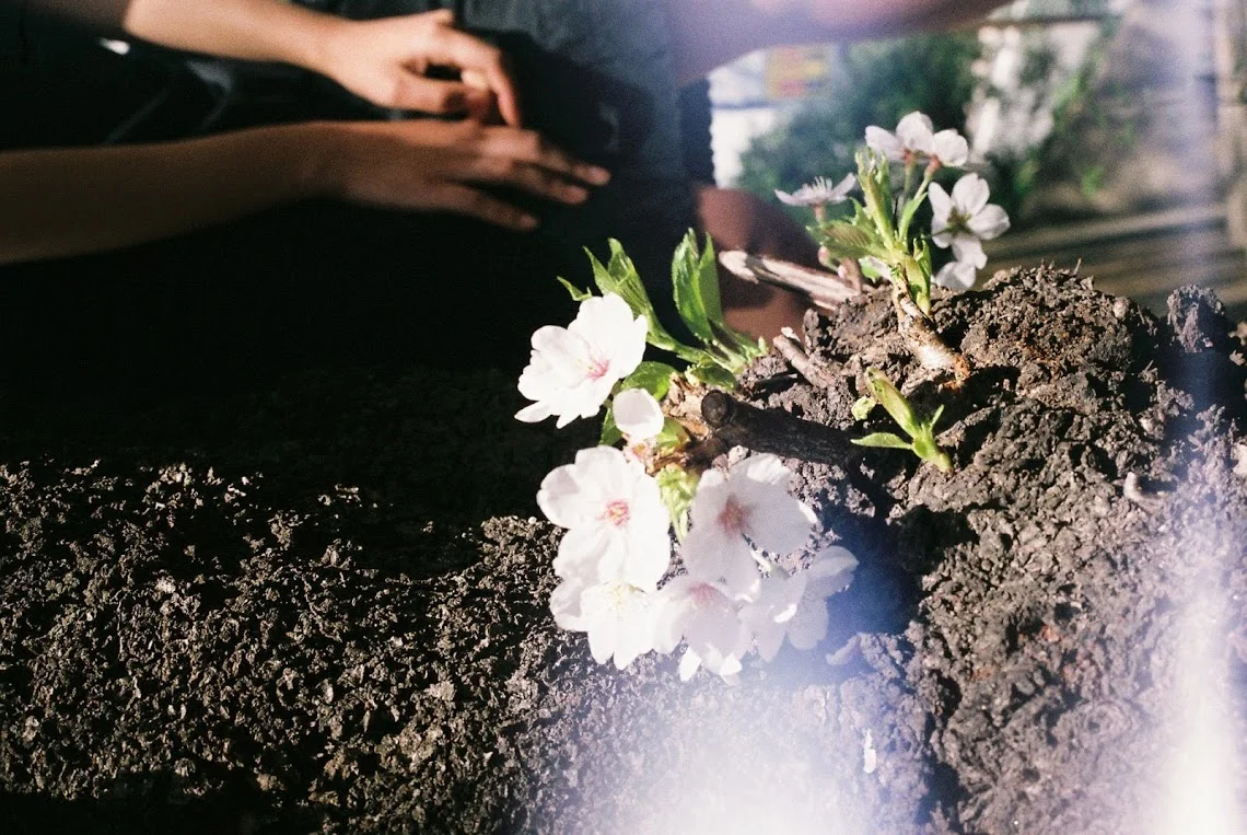 flowers.jpg