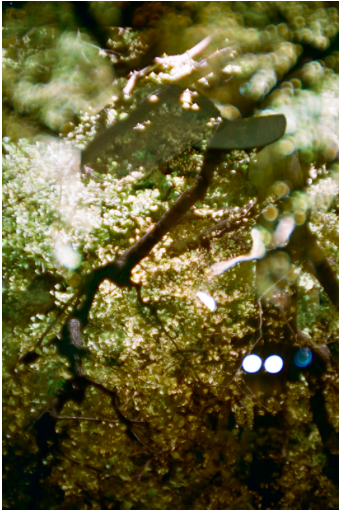 Screen Shot 2019-01-26 at 15.37.01.png