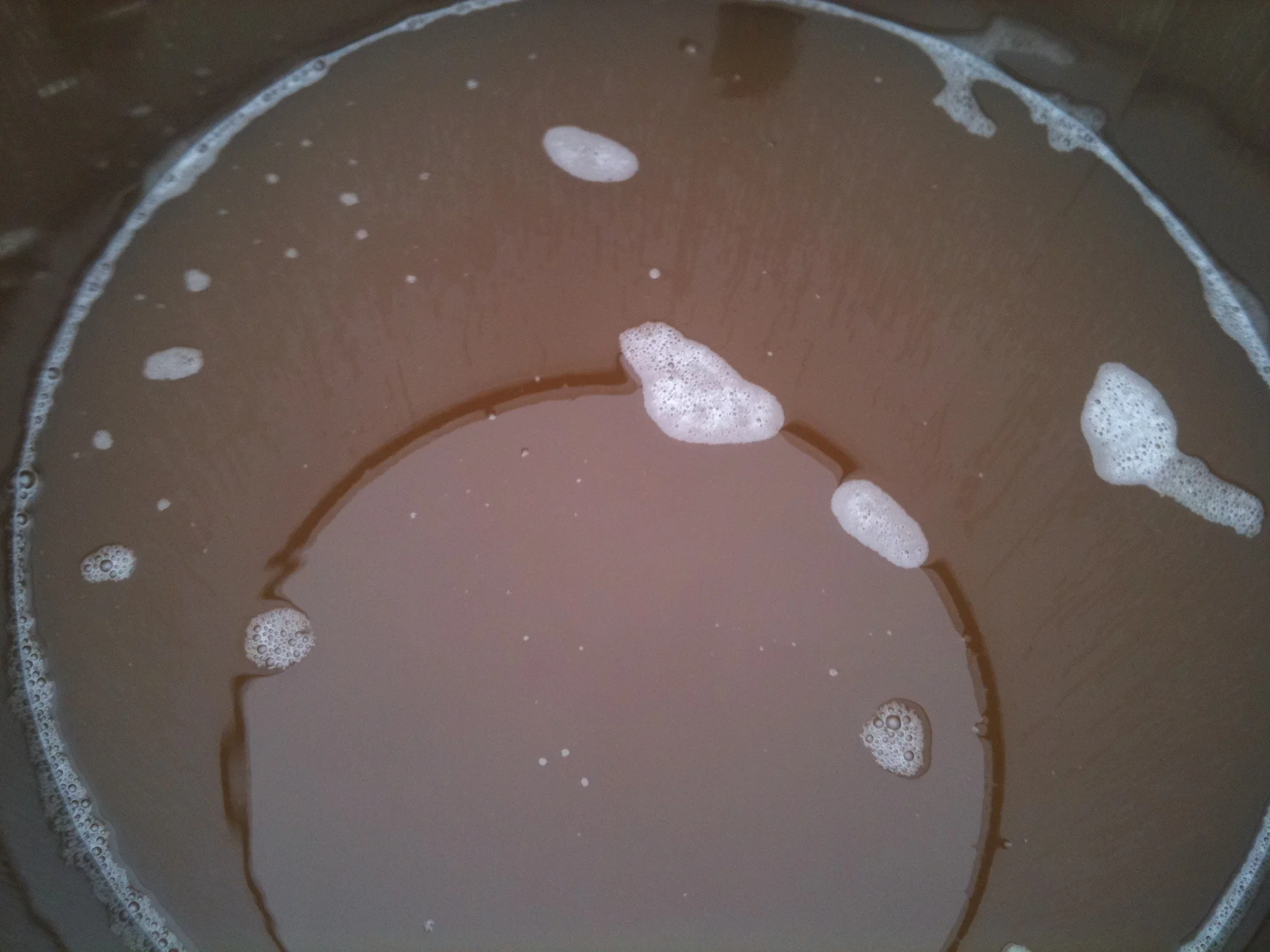 2010 Riesling – in juice form