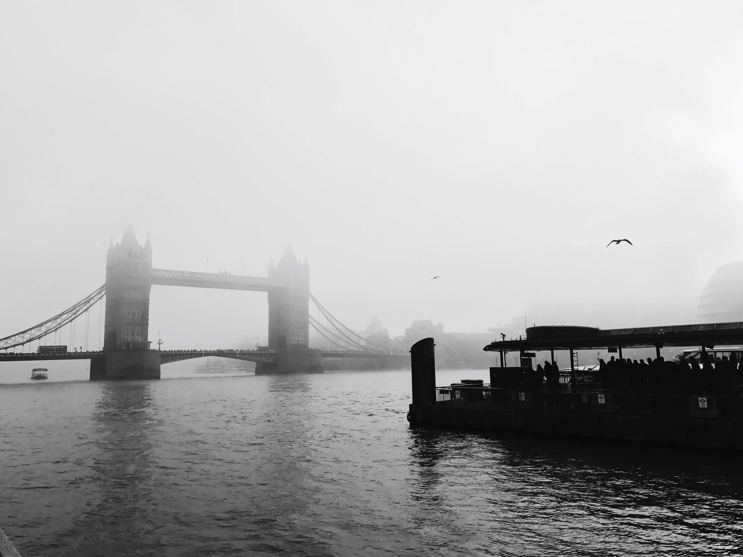 6D937E4C-317D-4821-84C9-EAF53726487D 4.JPG