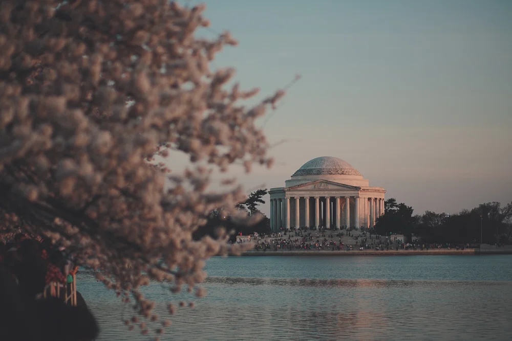 BLOG-DC2015-21.jpg