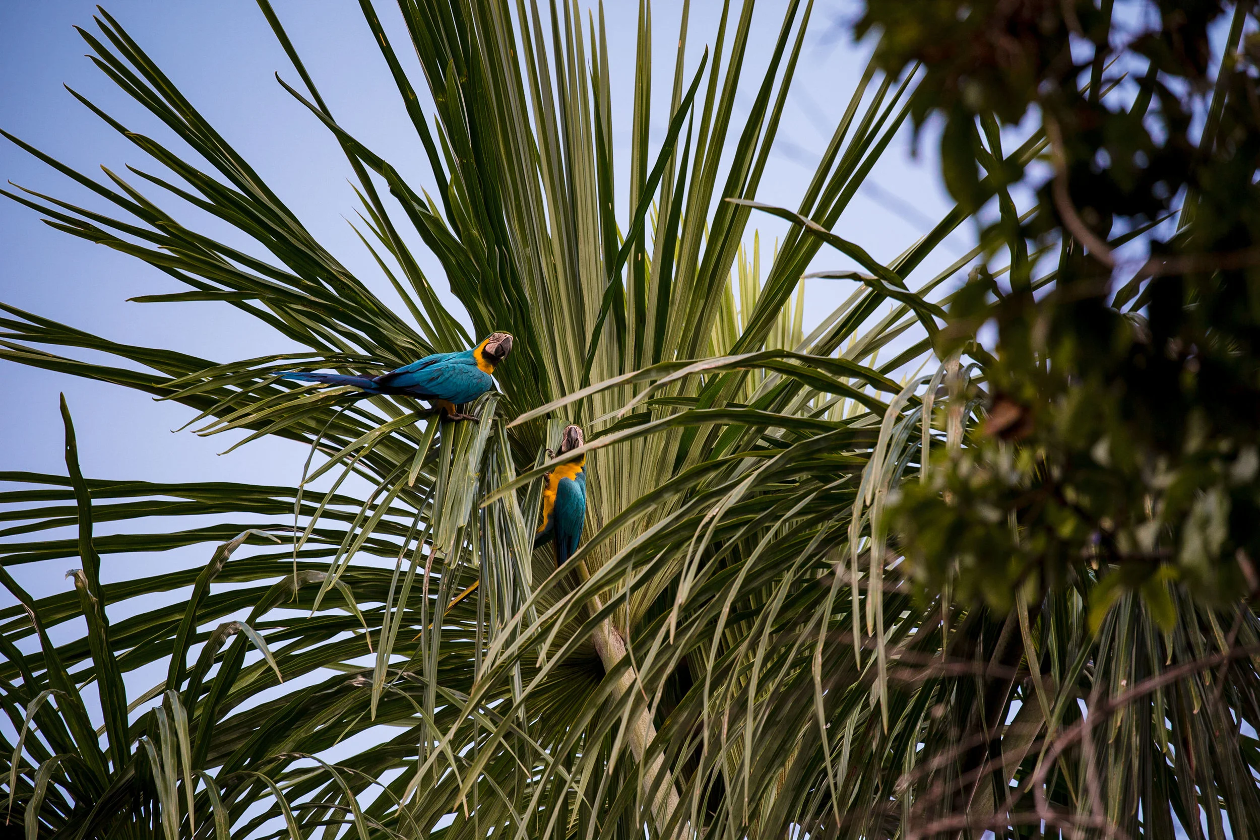 SS-Port-Wildlife-31.jpg