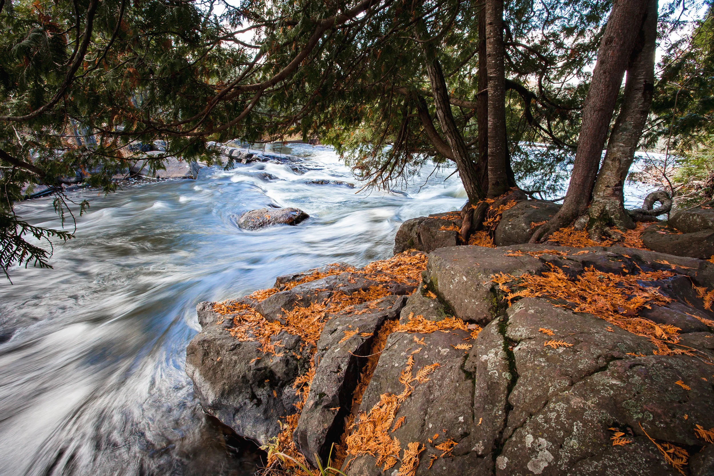 SS-Port-Wilderness-3.jpg
