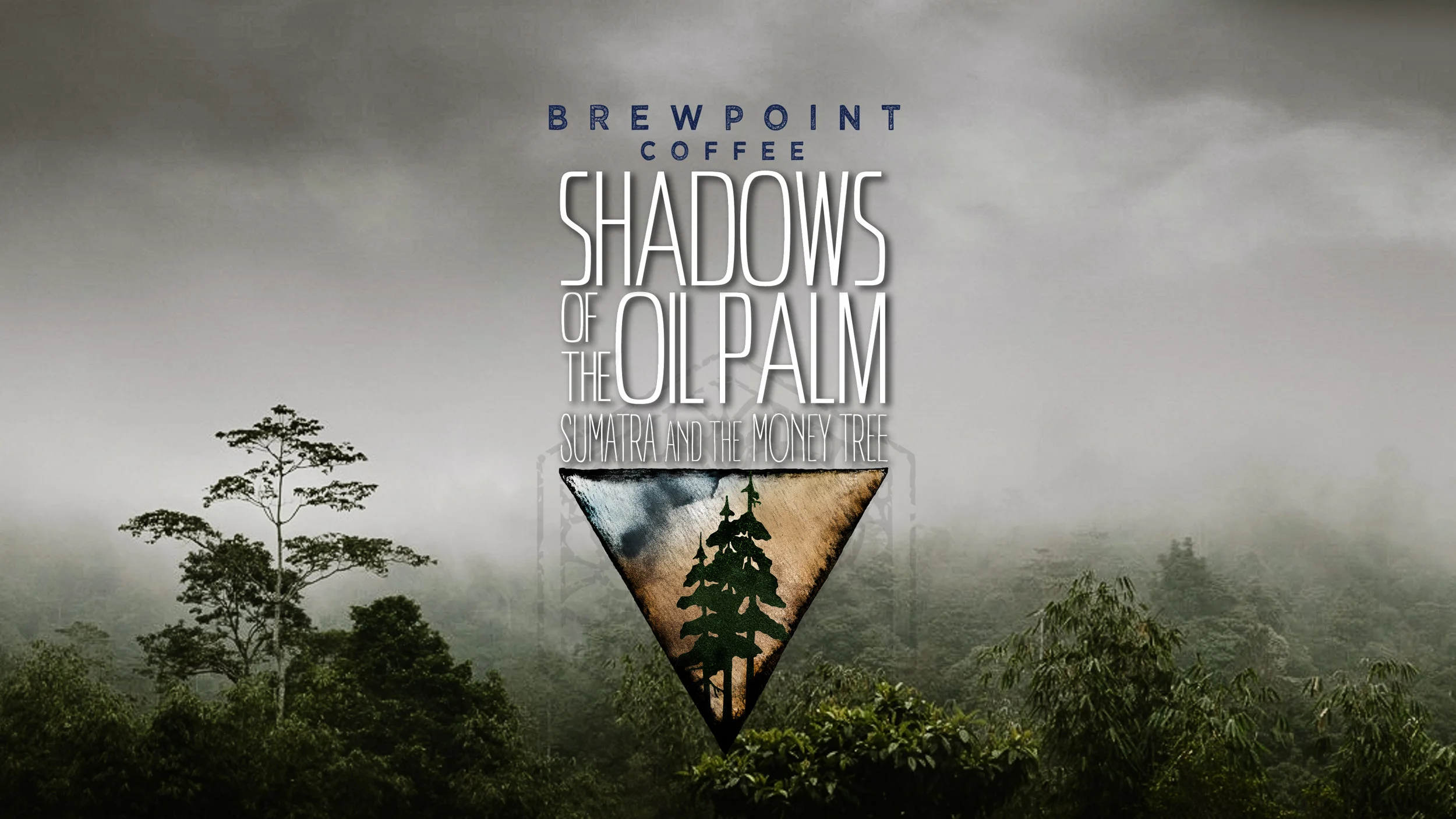 SHADOWS-FB-BANNER-Brewpoint.jpg