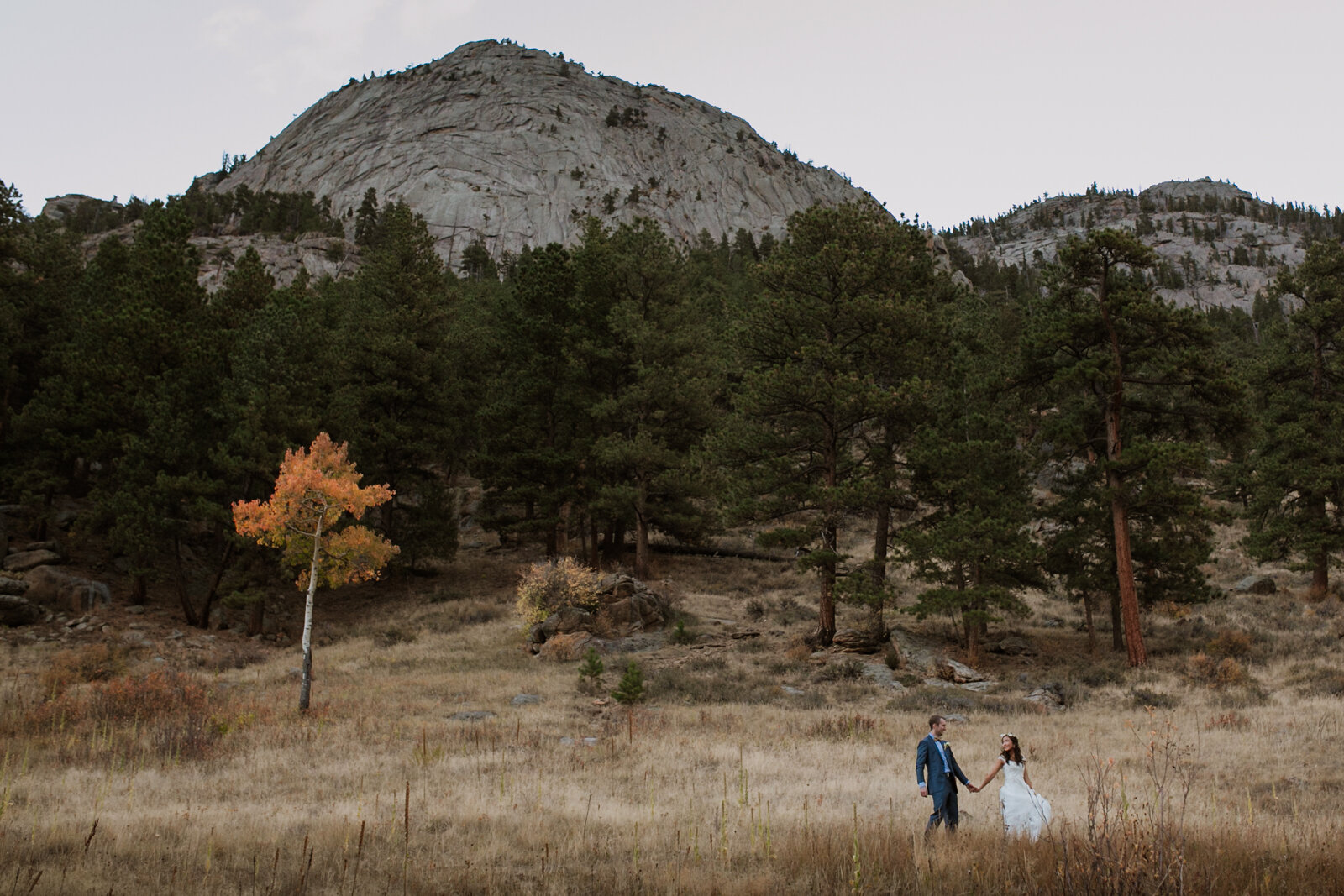 Daphne-Dan-Jungle-Branch-Wedding-Chicago-Elopement-Photographer-2.jpg