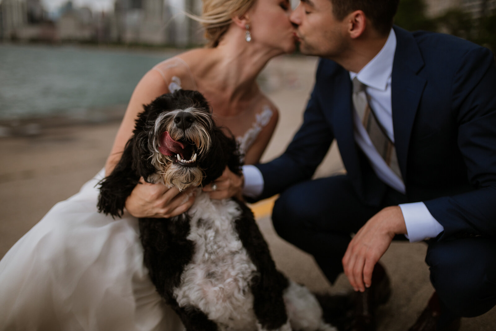 Dogs-Jungle-Branch-Wedding-Chicago-Elopement-Photographer-1.jpg