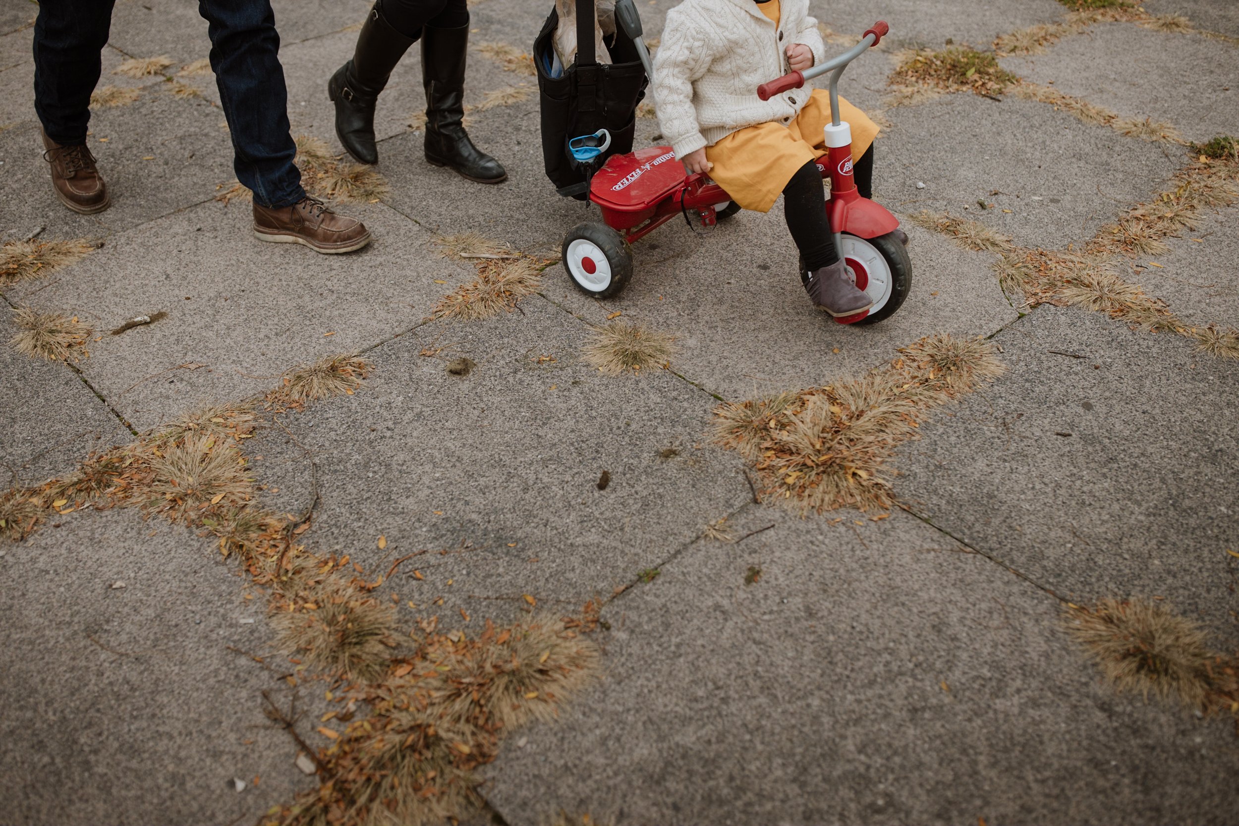 Family-Jungle-Branch-Wedding-Asheville-Chicago-Elopement-Family-Wedding-Engagement-Dog-Pet-Photographer-72.jpg