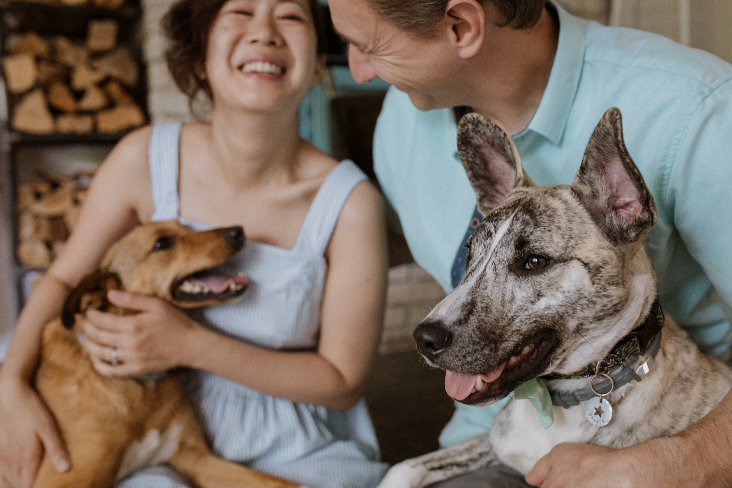 Walk-Jungle-Branch-Wedding-Asheville-Chicago-Elopement-Family-Wedding-Engagement-Dog-Pet-Photographer-39.jpg