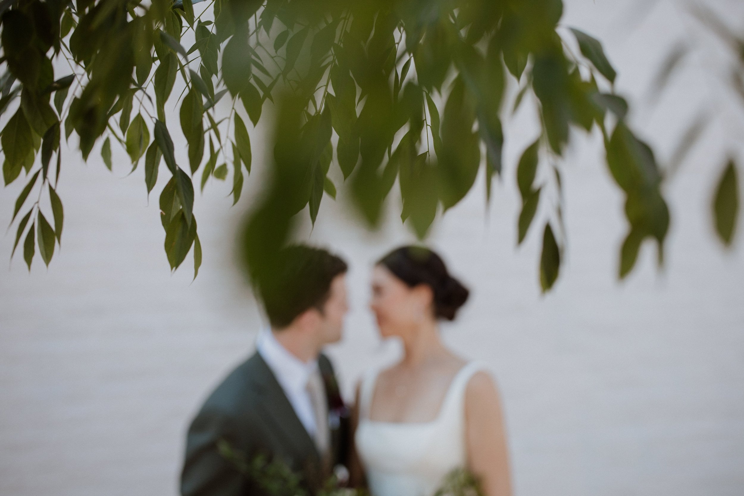 2023-WEDDING-Jungle-Branch-Wedding-Asheville-Chicago-Elopement-Family-Wedding-Engagement-Dog-Pet-Photographer-DIY-35.jpg