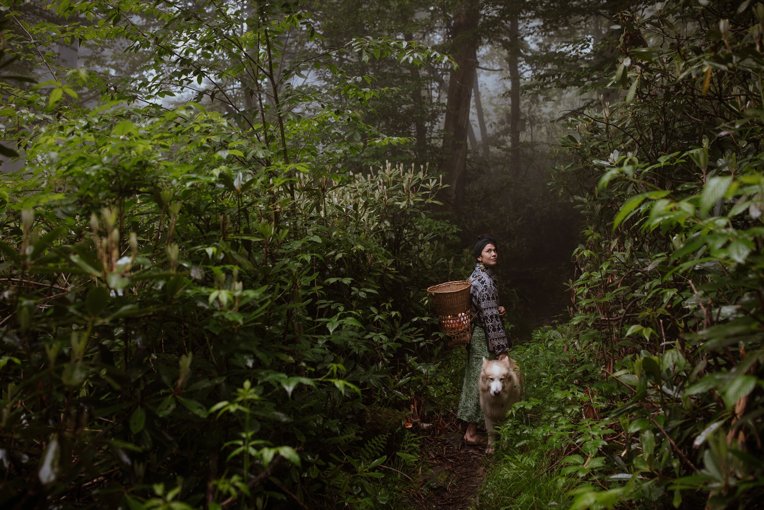 Dogs-Jungle-Branch-Wedding-Asheville-Chicago-Elopement-Family-Wedding-Engagement-Dog-Pet-Photographer-Band-Local-Musician-MaMockingbird-2.jpg