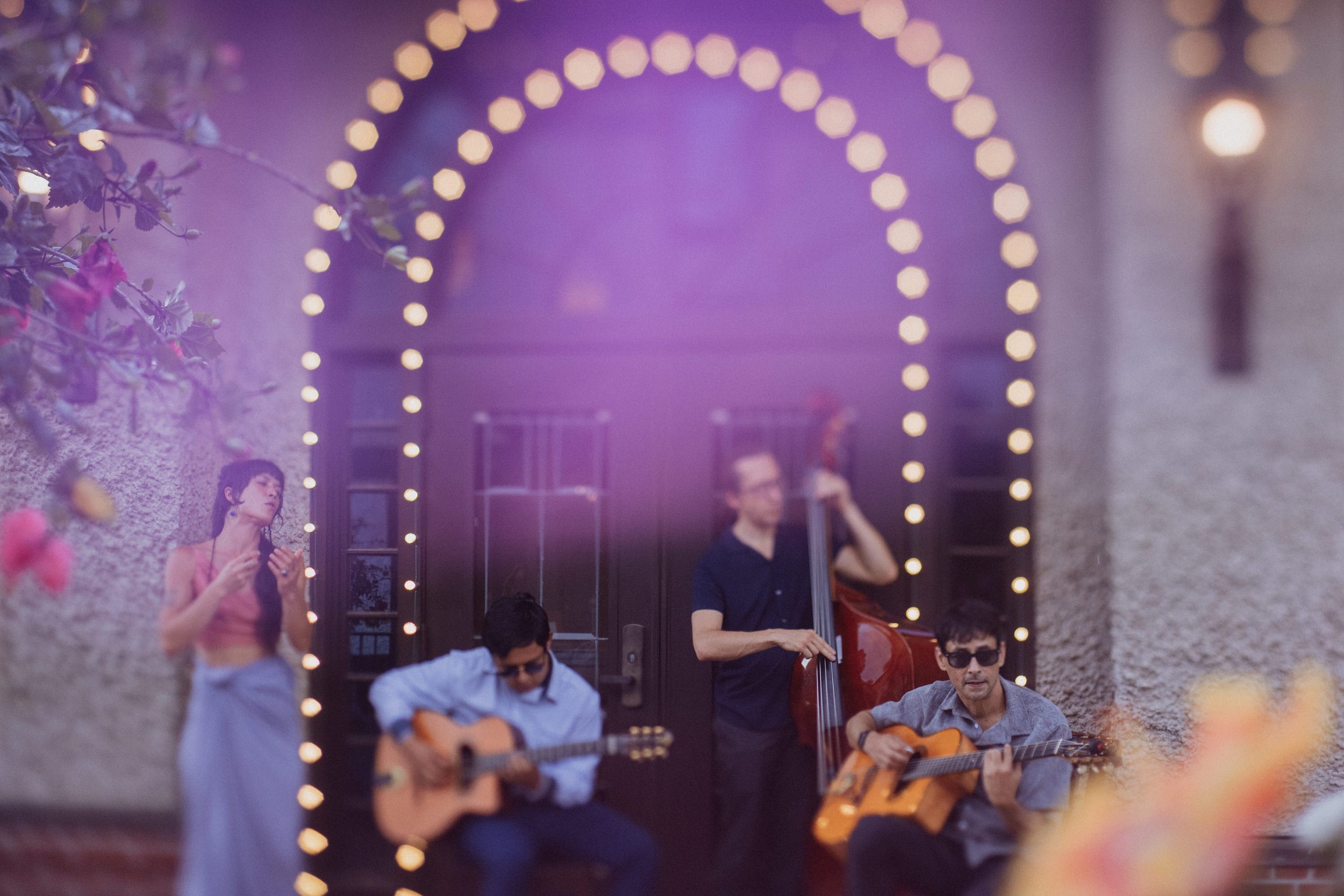 Music-Jungle-Branch-Wedding-Asheville-Chicago-Elopement-Family-Wedding-Engagement-Dog-Pet-Photographer-Band-Local-Musician-Gypsy-Swingers-Biltmore-1.jpg