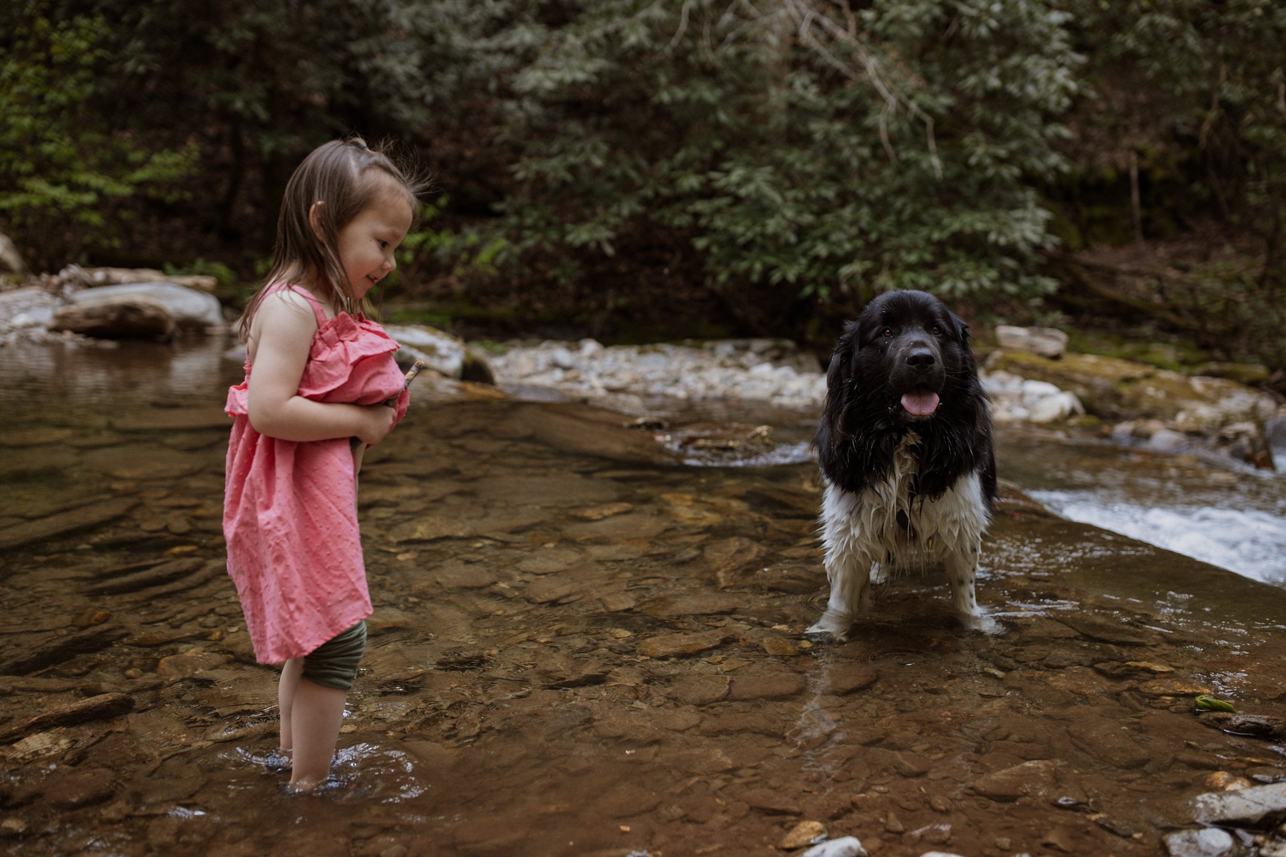 2020-Jungle-Branch-Spring-Sessions-Chicago-Asheville-Portraits-Family-Engagement-Dogs-Headshots-Newborn-Maternity-Date-Night-Food-Drinks-Actor-Portrait-15.JPG