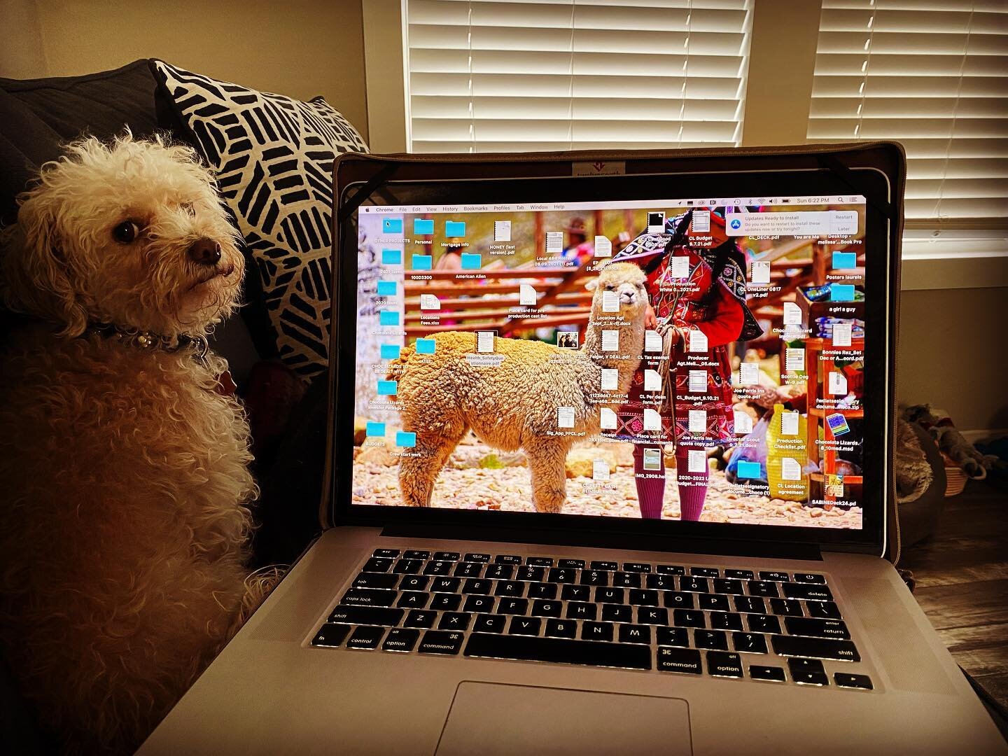 This how work goes these days and I wouldn&rsquo;t have it any other way! 😊🐶 #agirlsbestfriend #marfathedog #movieprep #indiefilm #behindthescenes #doodlesofinstagram #everydayisbringyourdogtoworkday