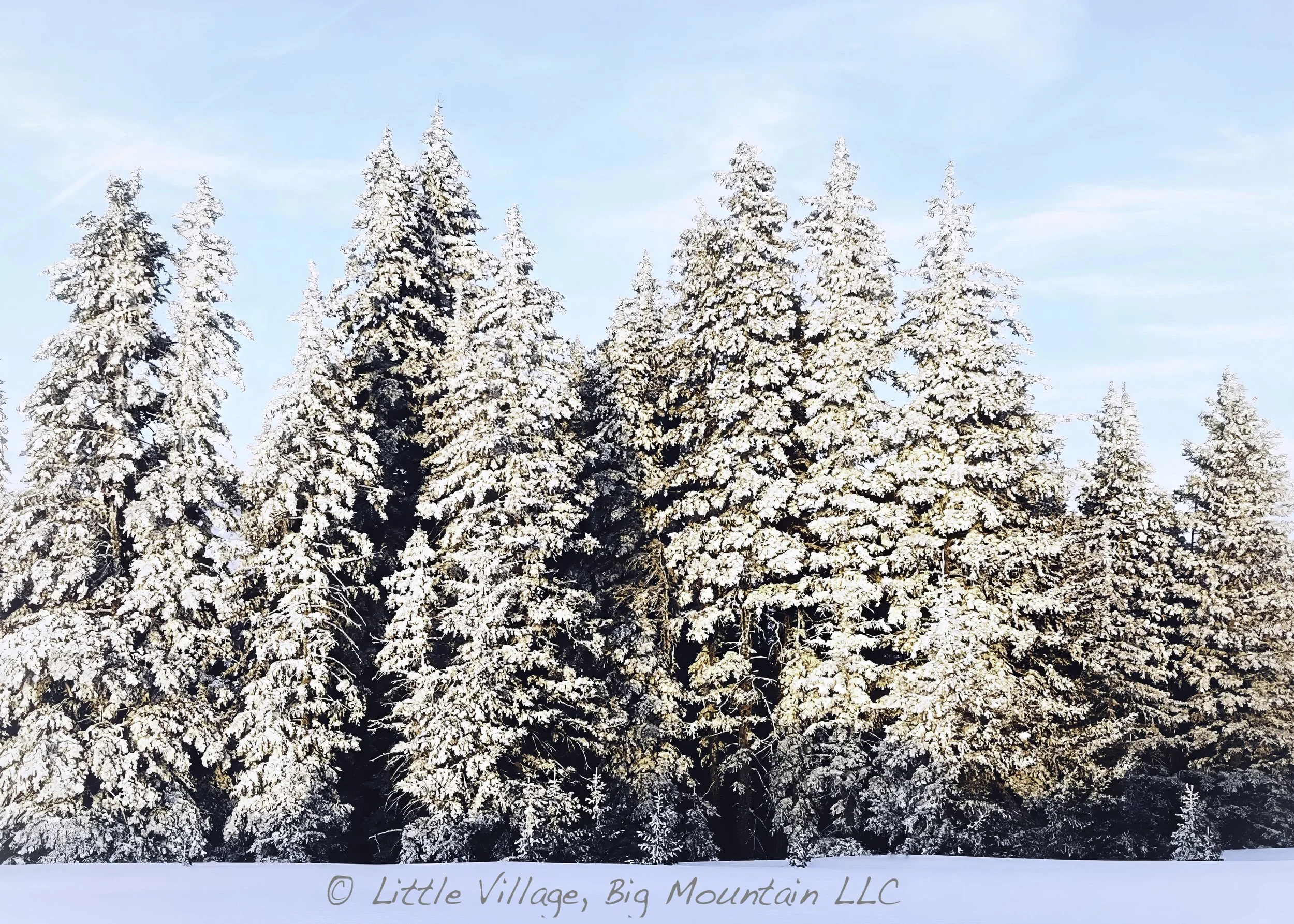 Winter 5x7 watermark.jpeg