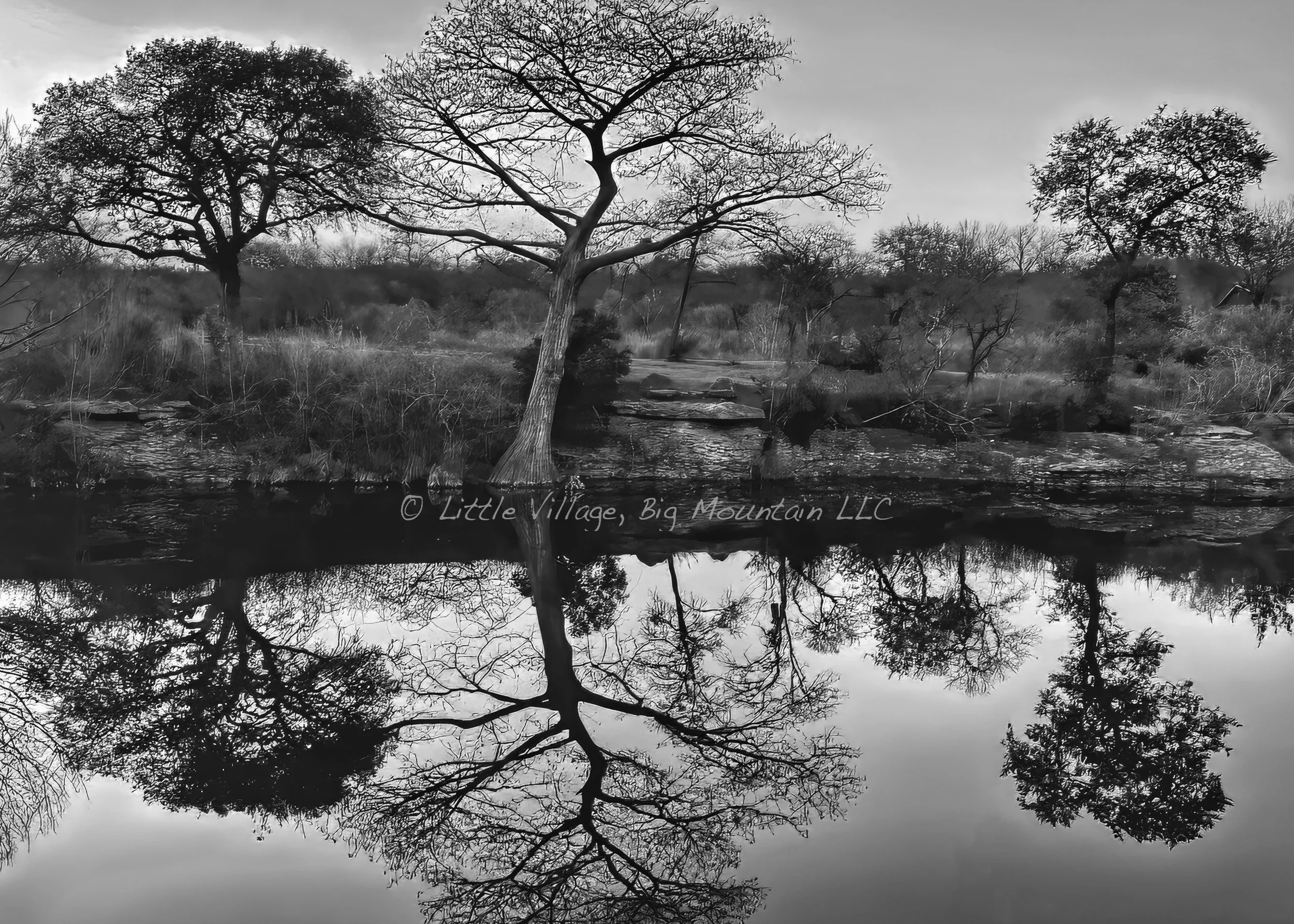 Reflections B&W 5x7 watermark.jpeg