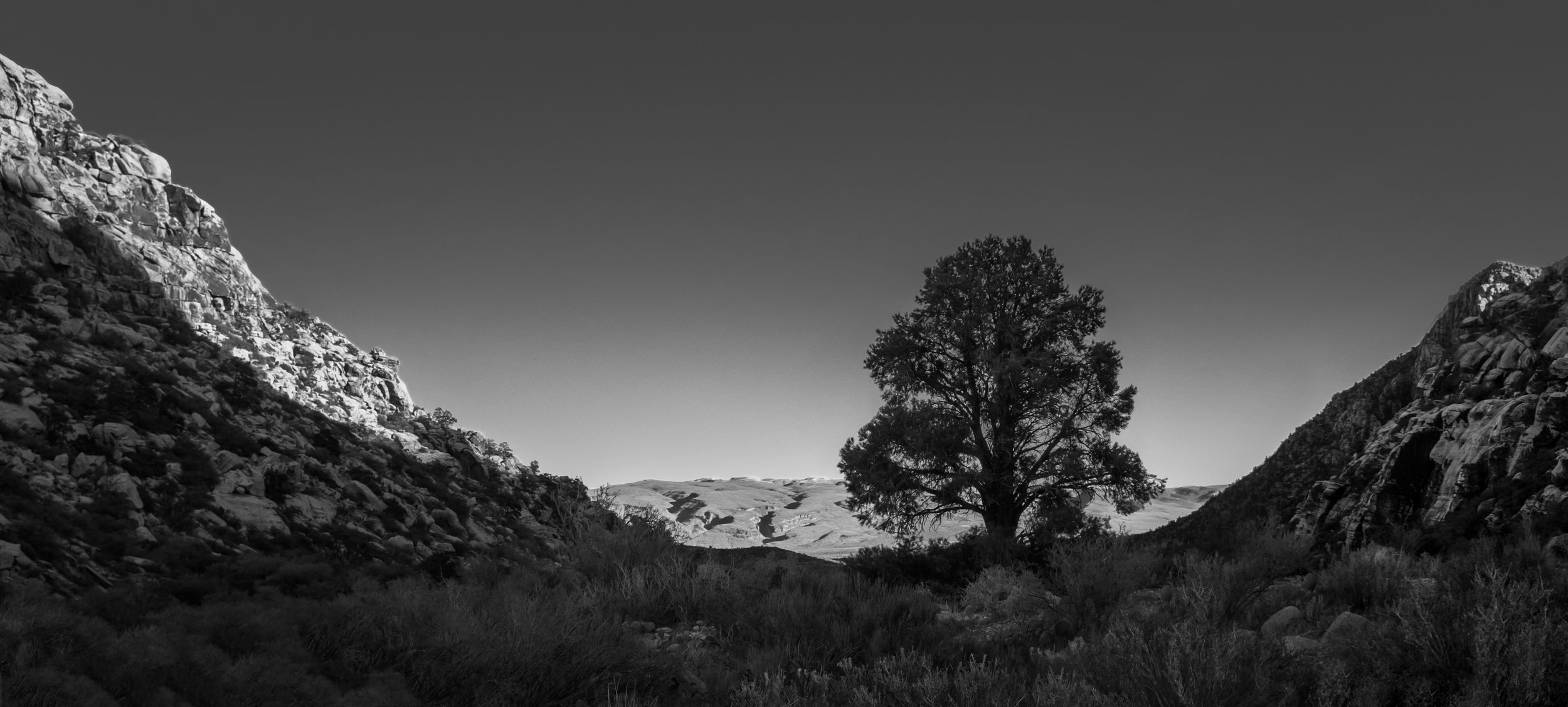 Red Rock bw 12 feb 7.jpg