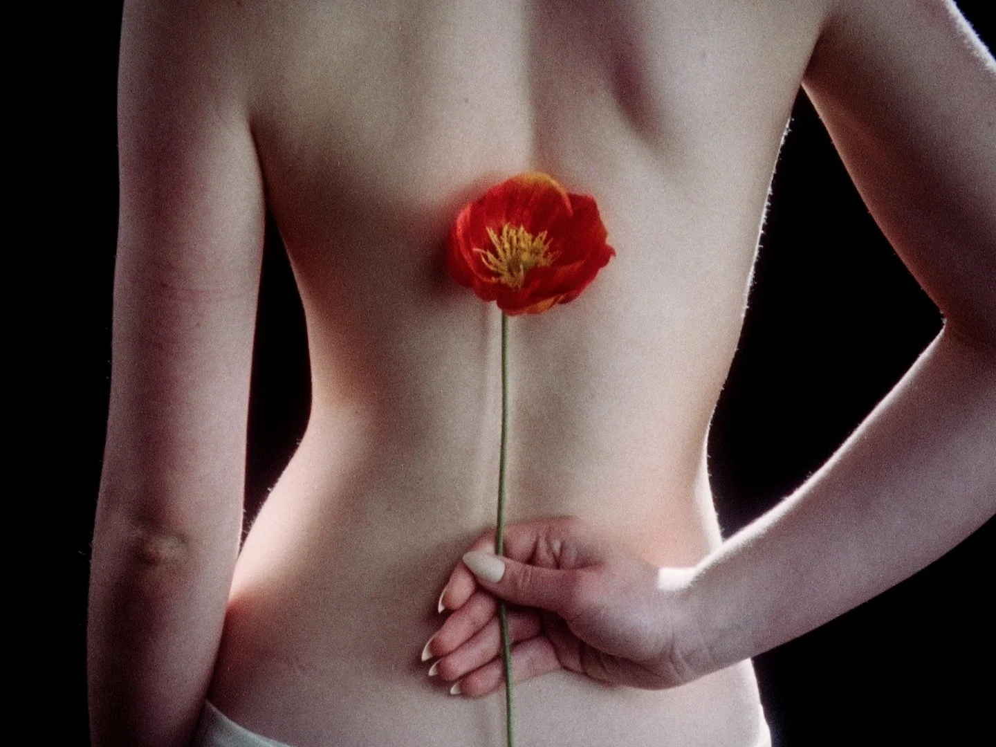 A flower held behind a woman’s bare back