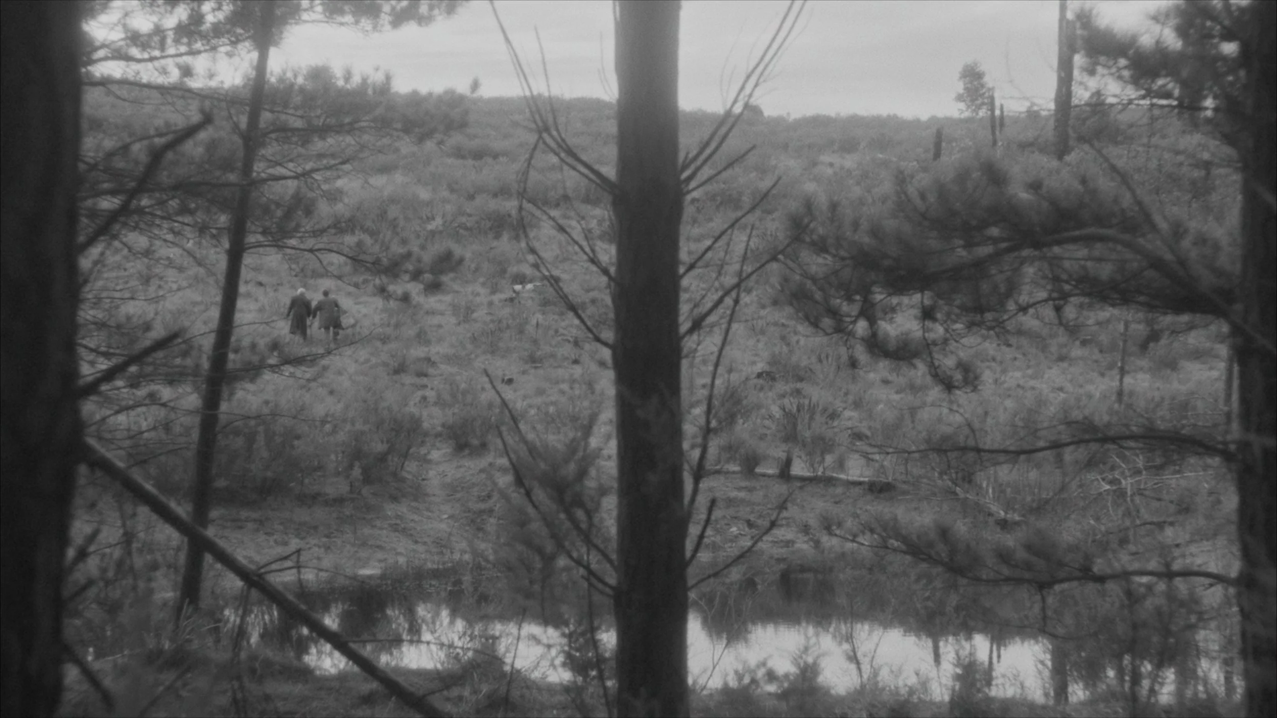 Two distant figures walking among tall trees beside a lake in a black-and-white landscape.