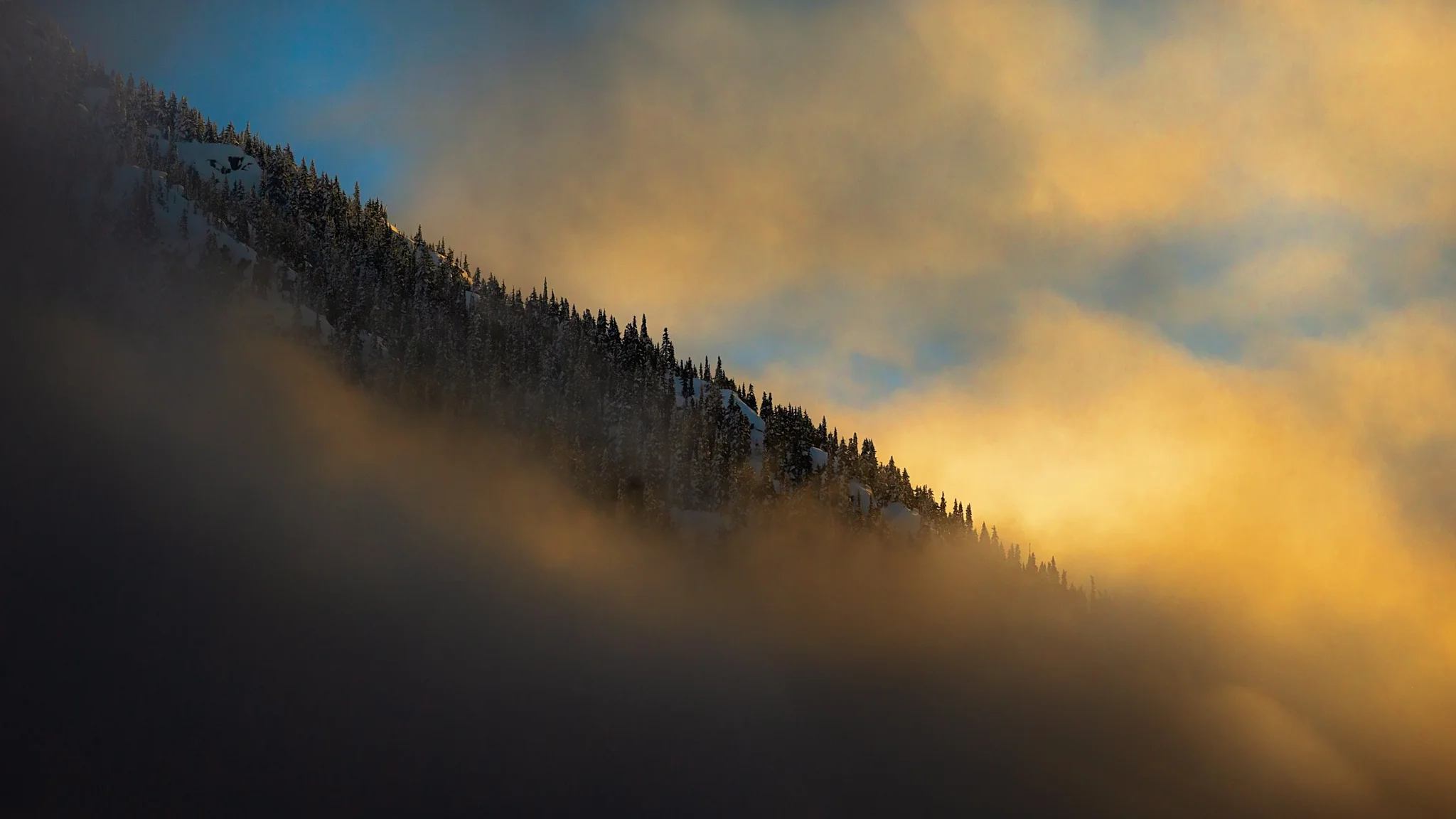 and clouds of white..